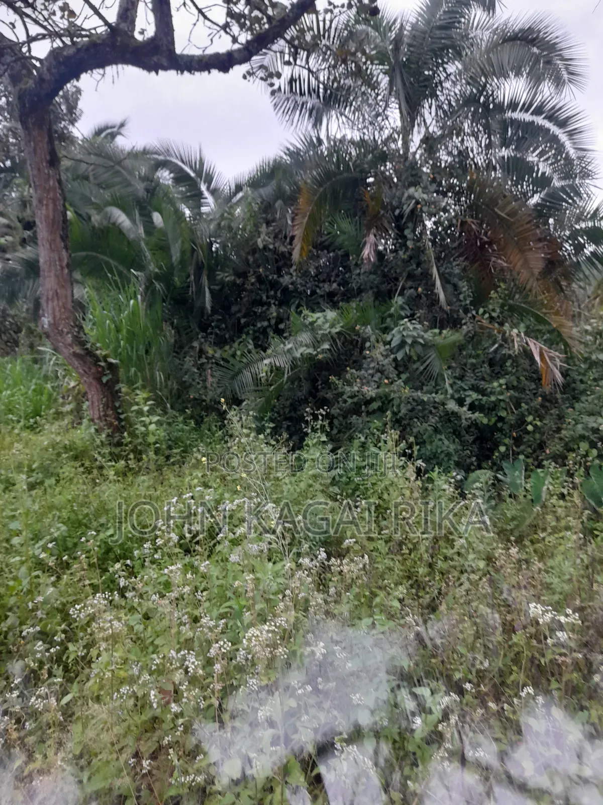 Kitale Agricultural Land in Kitale