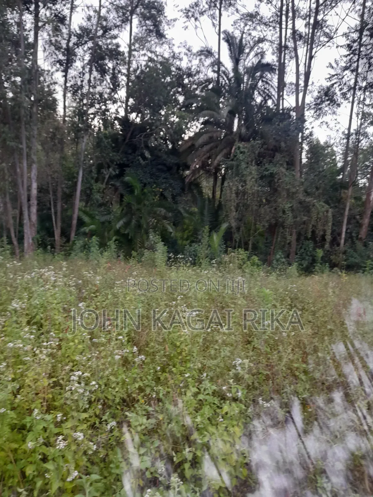 Kitale Agricultural Land in Kitale