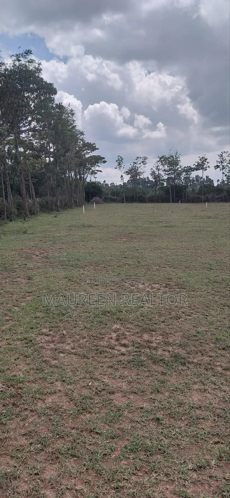 Prime Plots - Nanyuki Burguret Tarmac Rd in Nanyuki