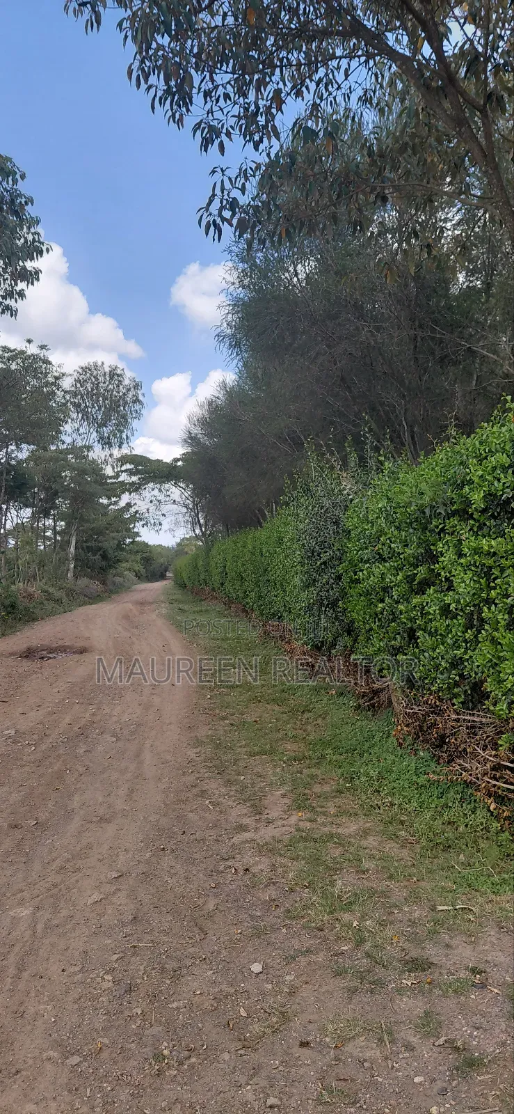 Prime Plots - Nanyuki Burguret Tarmac Rd in Nanyuki