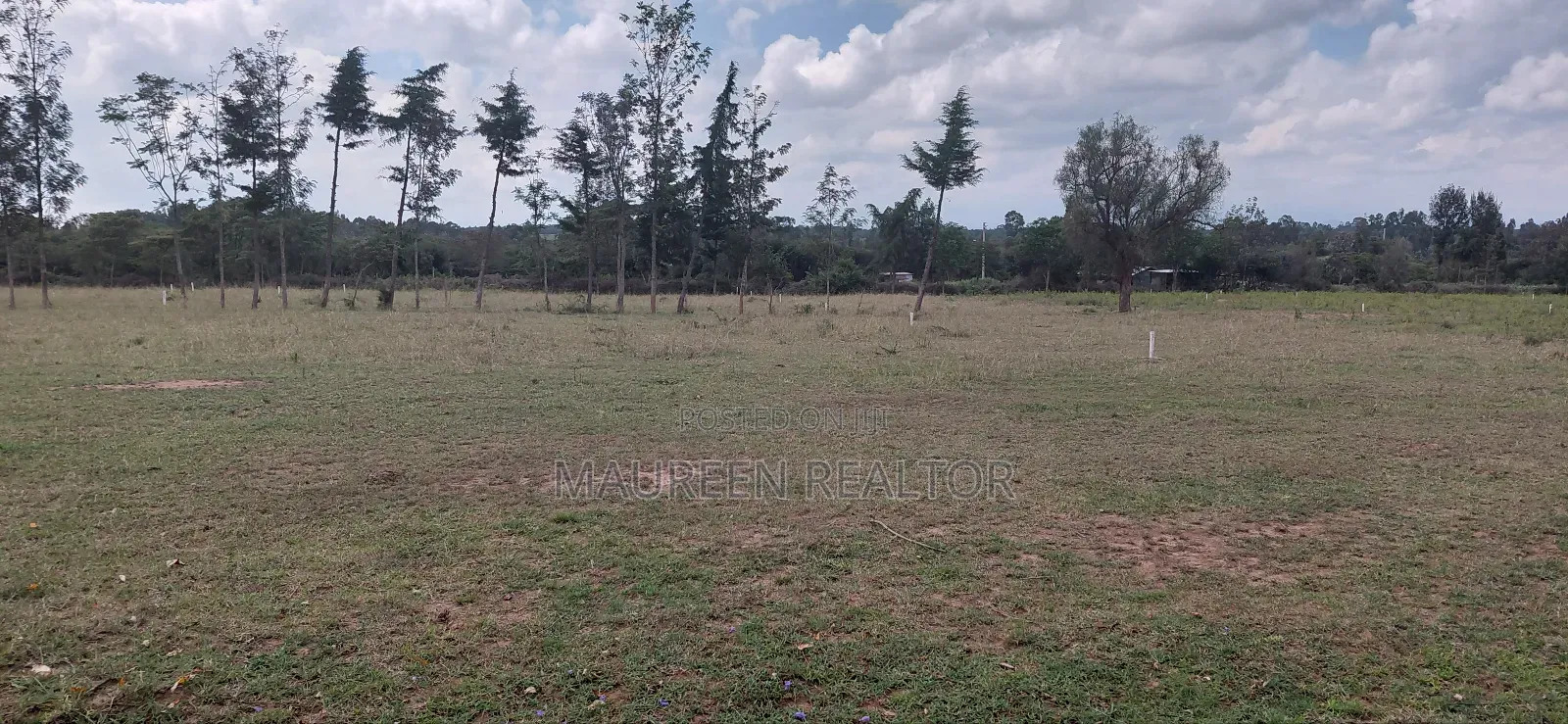 Prime Plots - Nanyuki Burguret Tarmac Rd in Nanyuki
