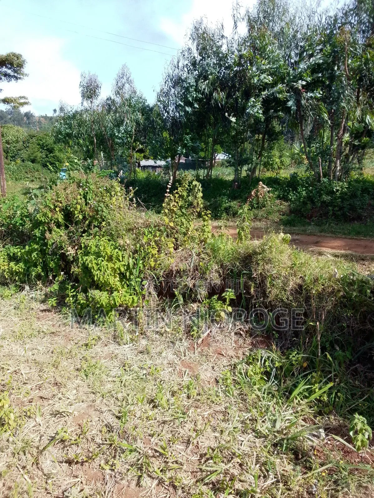 50 by 100 Escarpment, Lari in Lari/Kirenga