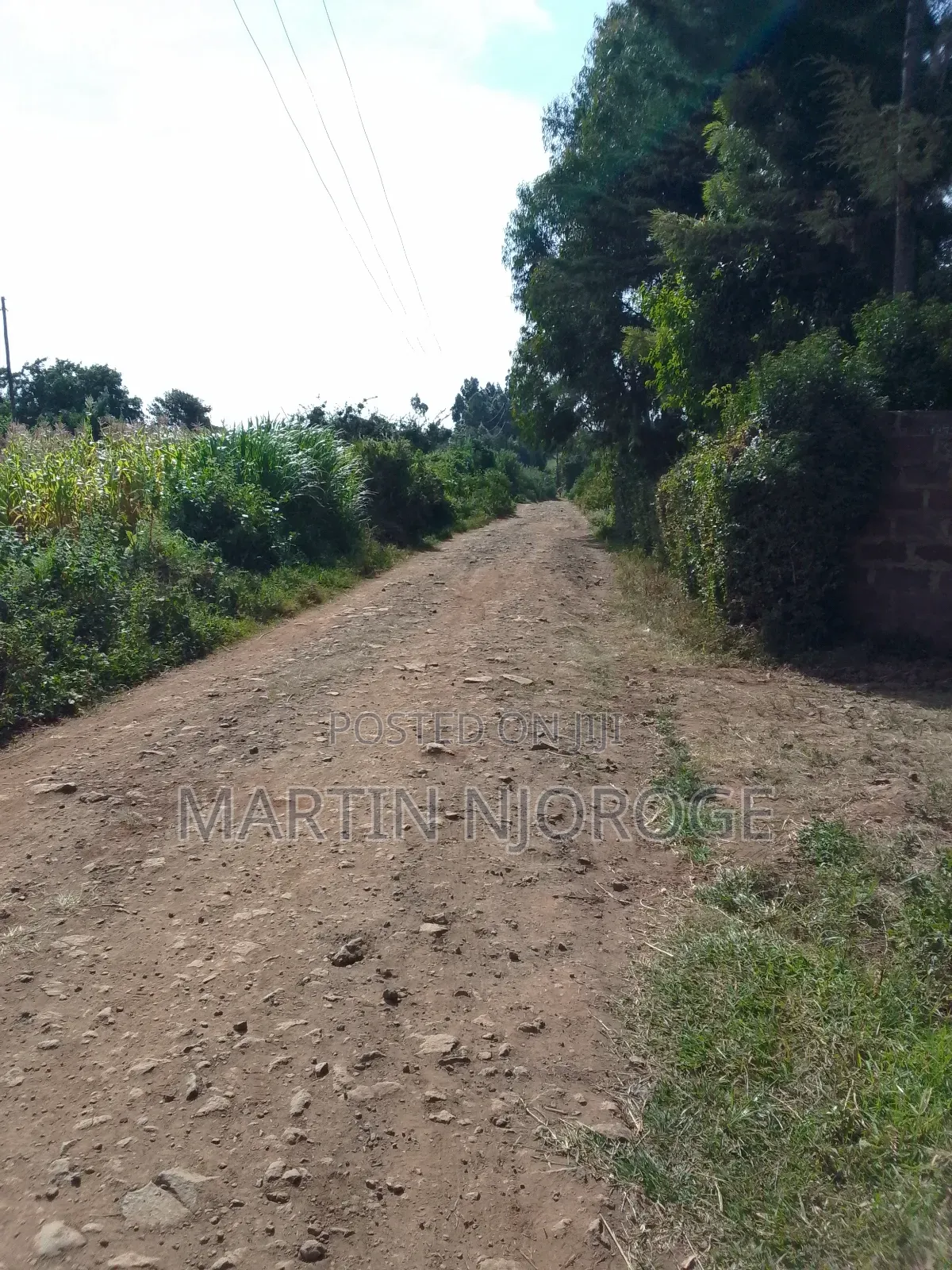 50 by 100 Escarpment, Lari in Lari/Kirenga