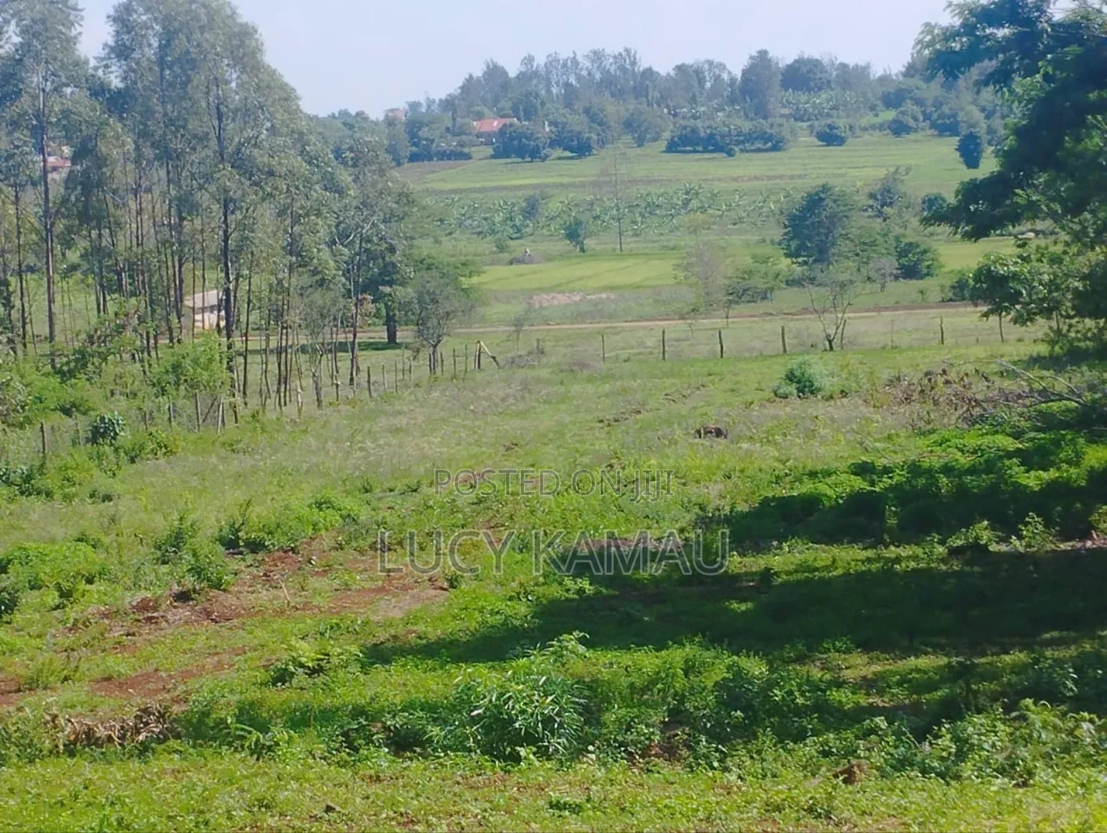 50x100 Plots in Sagana 100 Metres From Tarmac in Kerugoya