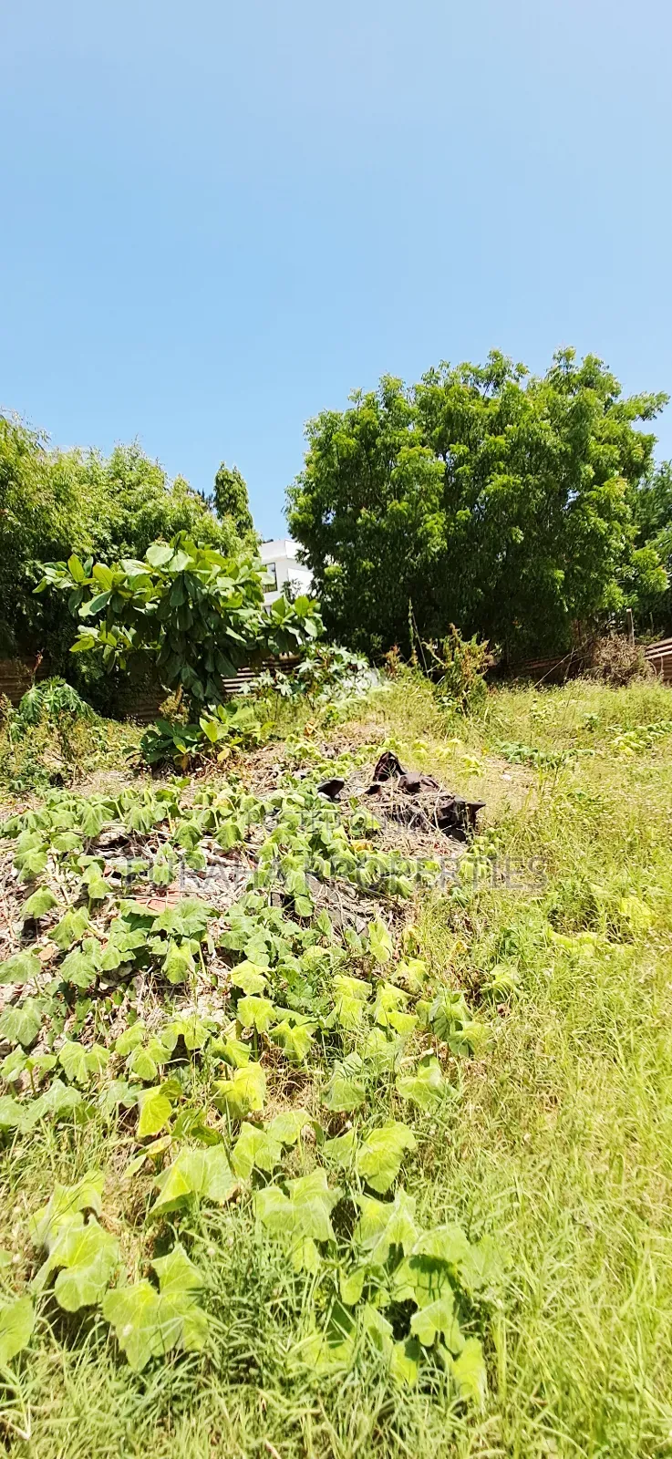 For Sale 3 Prime Plots Utange in Utange