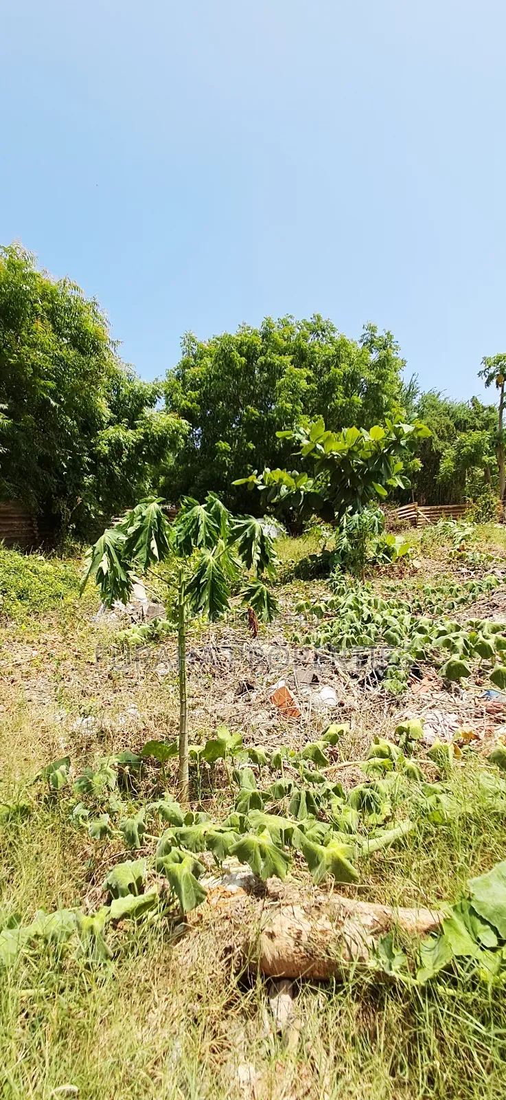 For Sale 3 Prime Plots Utange in Utange