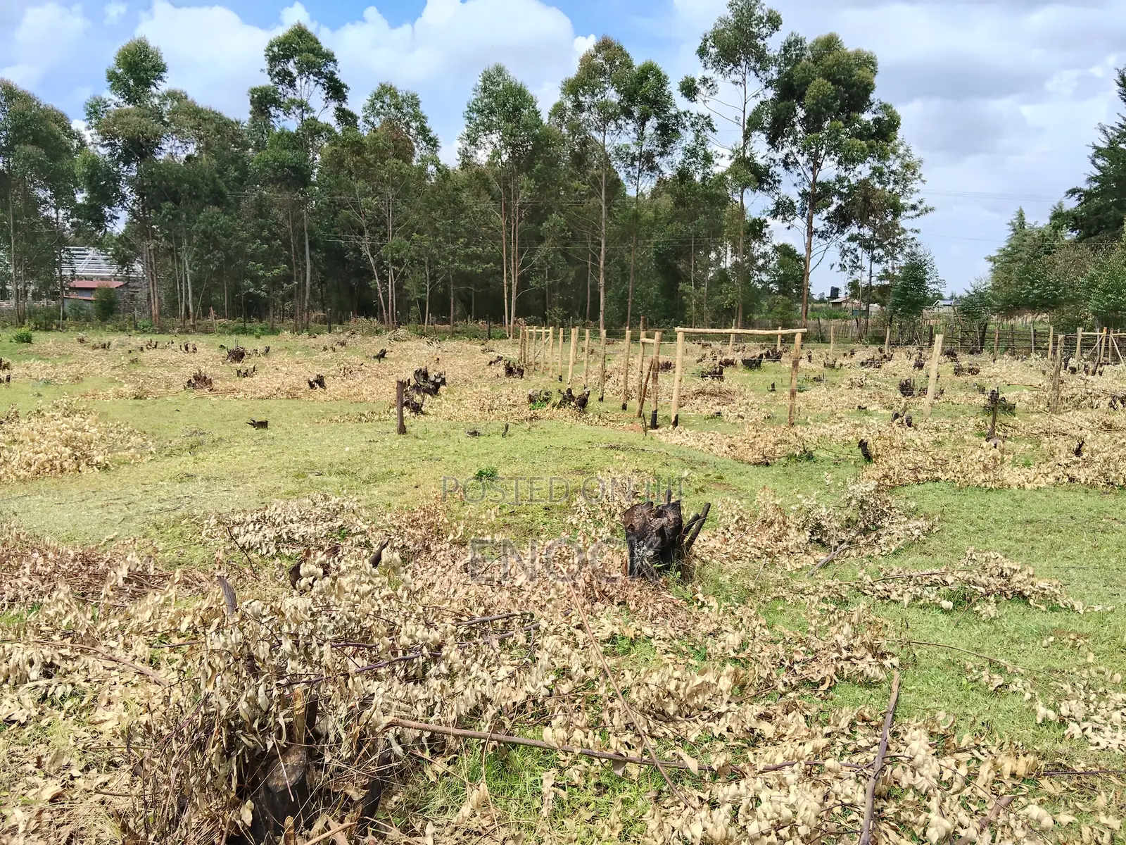 Kapseret Kabongo Residential Plots in Ngeria