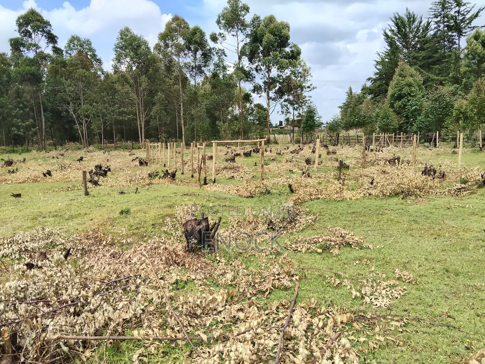 Kapseret Kabongo Residential Plots in Ngeria