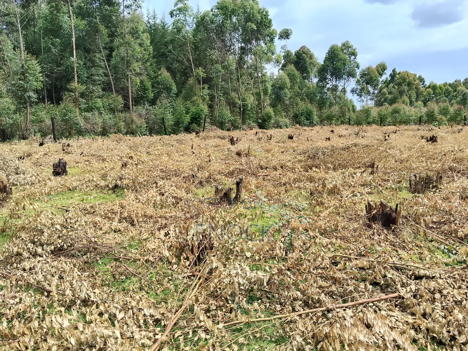 Kapseret Kabongo Residential Plots in Ngeria