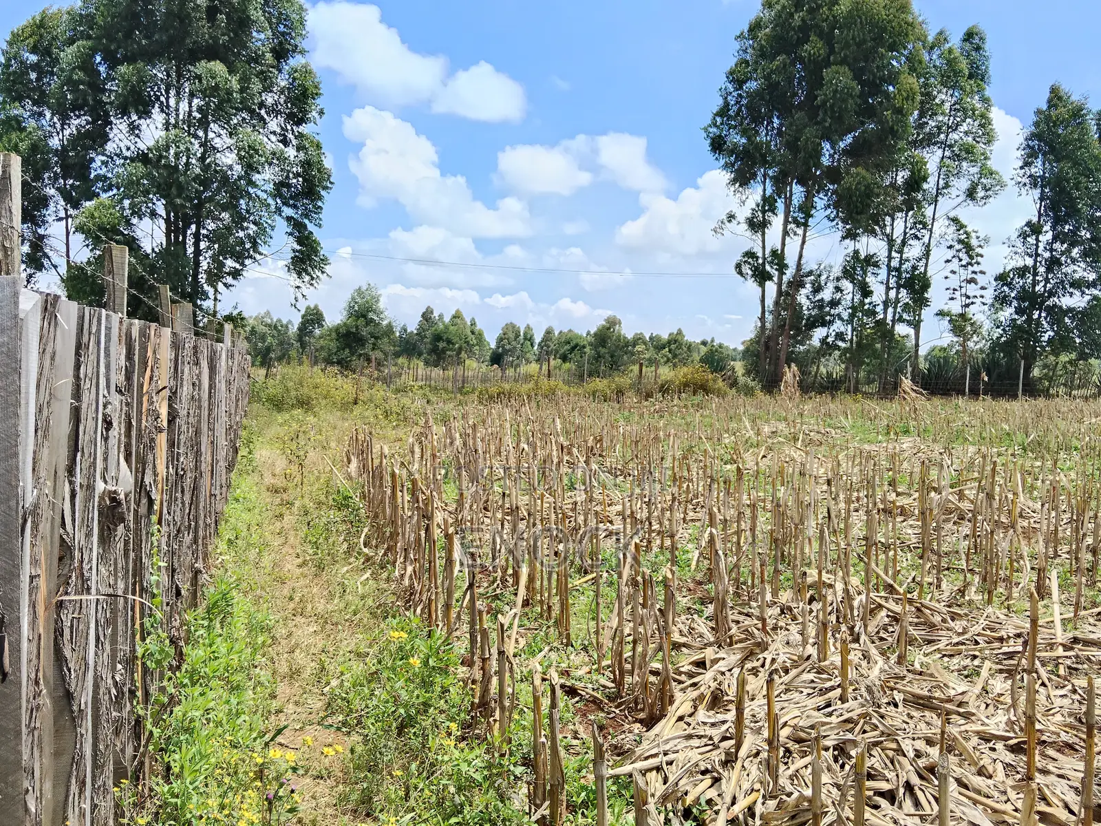 Ilula Eldoret Residential Plots in Illula