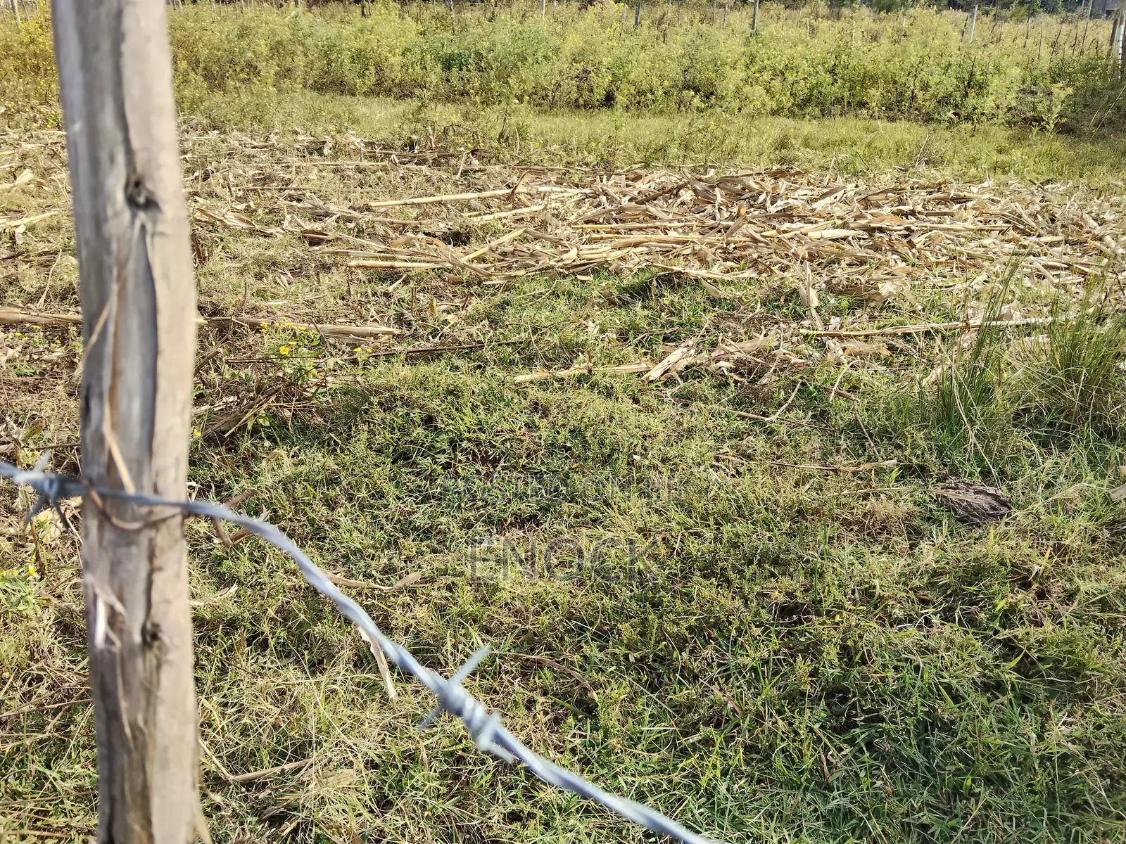 Outspan Kiambaa 1⁄4acre Plot in Ngeria