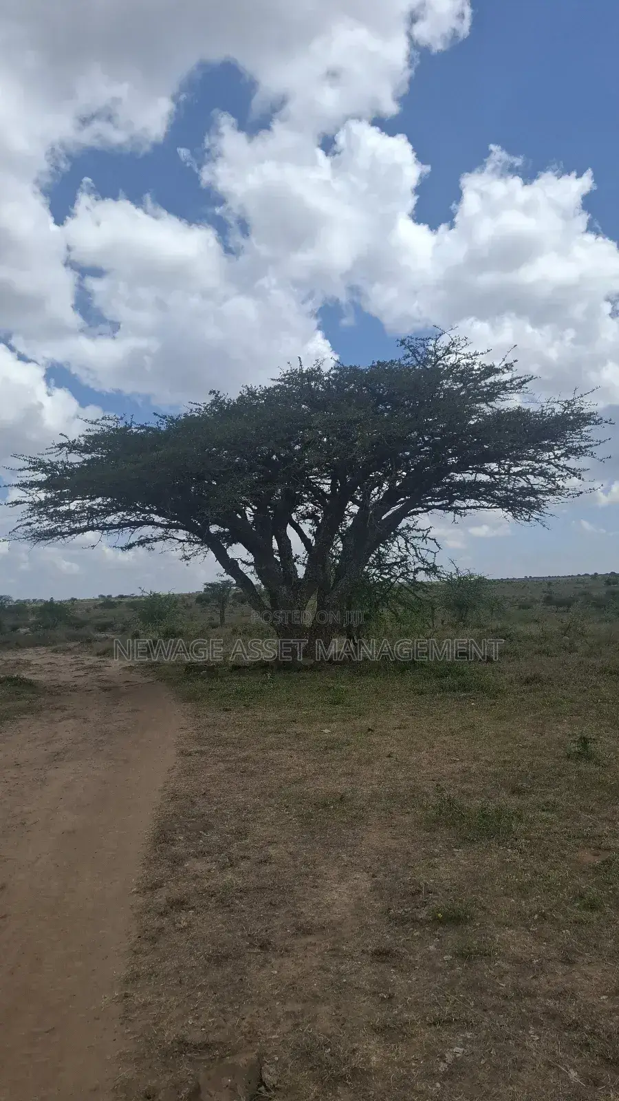 10 Acre Piece of Land for Sale in Isinya in Isinya