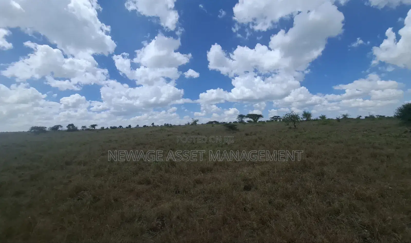 10 Acre Piece of Land for Sale in Isinya in Isinya