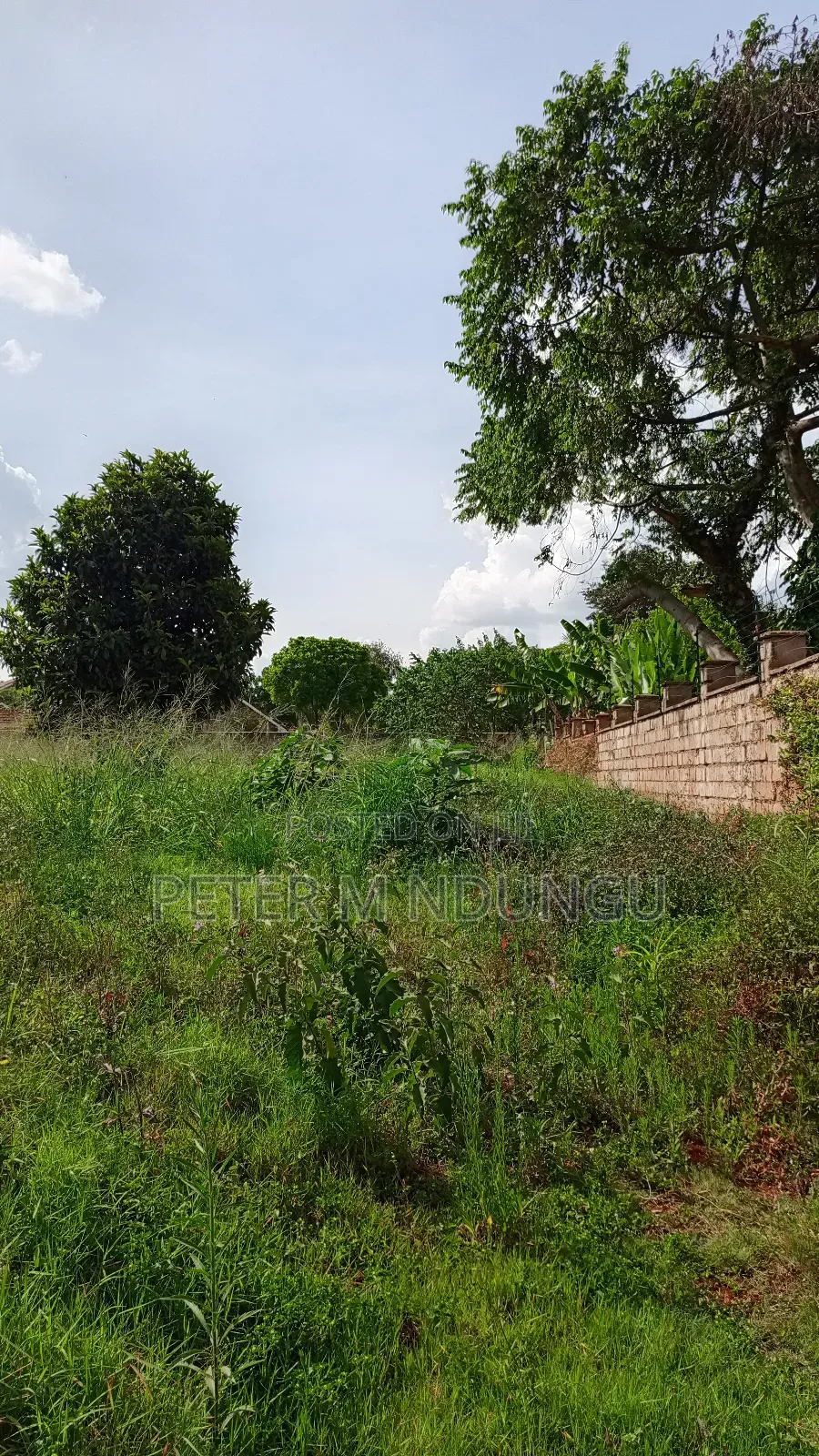 Runda Meadows- 1/2 Acre Land on Sale, Title in Runda