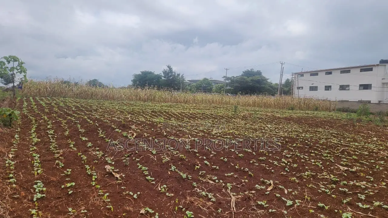 New Kitisuru 4 Acres Available in Kitisuru