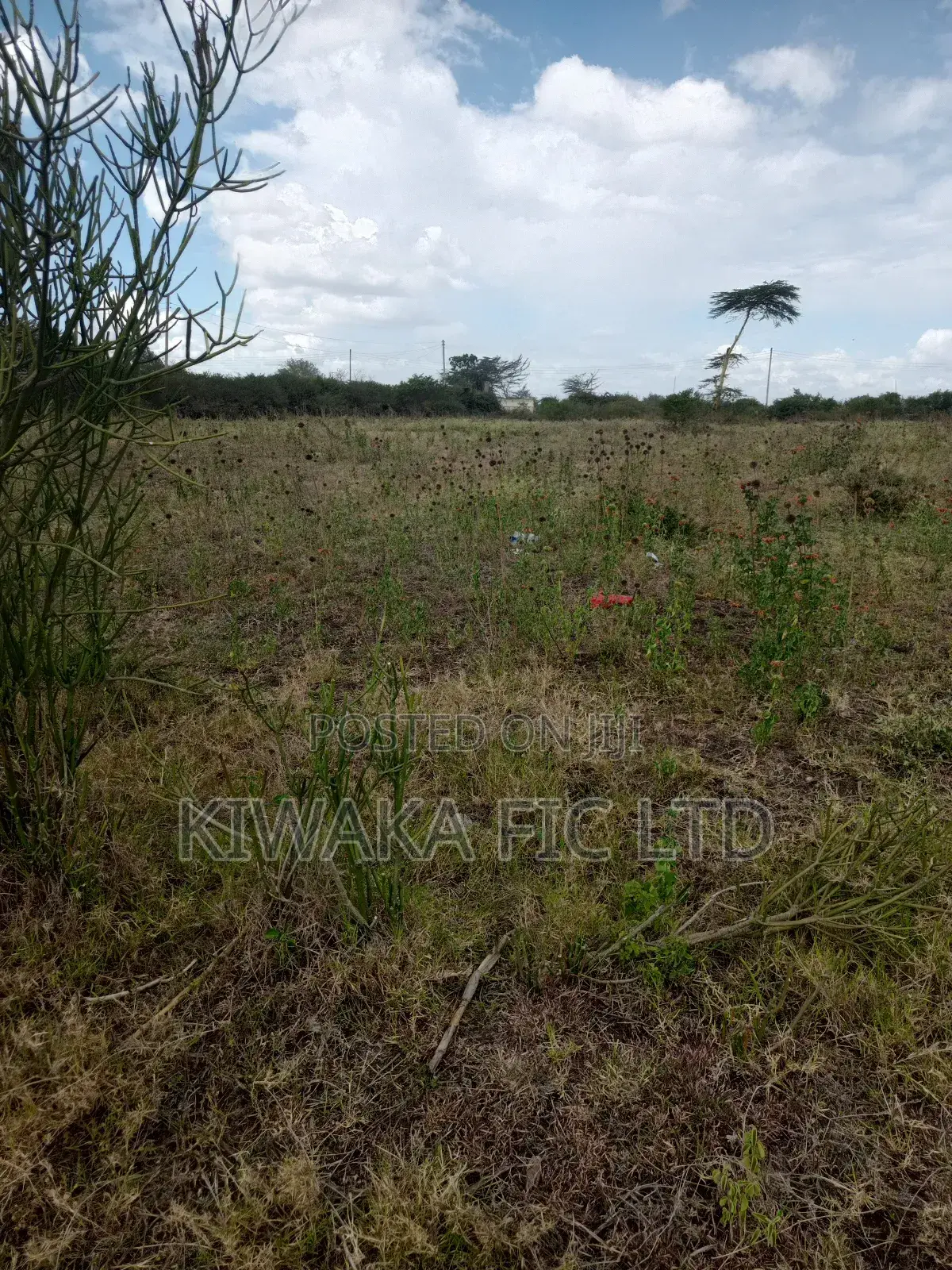 1 Acre Off the Eastern Bypass in Ruai