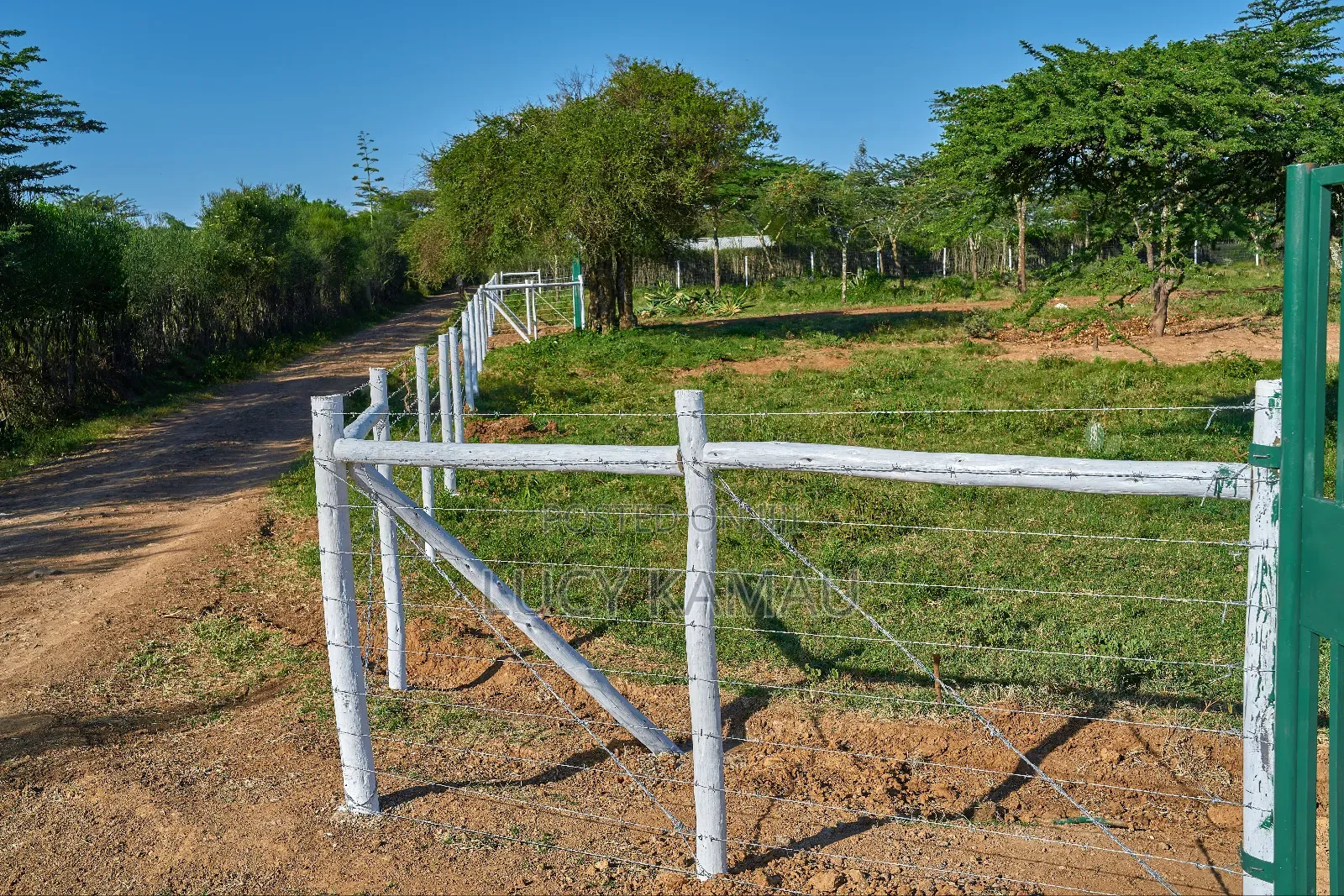 50x100 Prime Plots In Nanyuki Next To Maiyan in Nanyuki