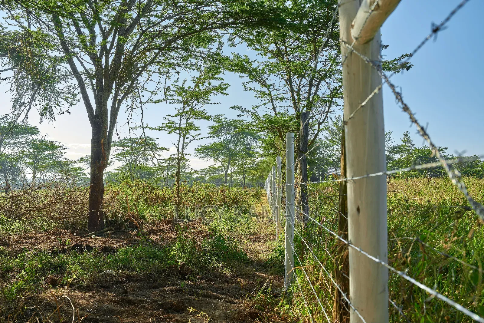 50x100 Prime Plots In Nanyuki Next To Maiyan in Nanyuki