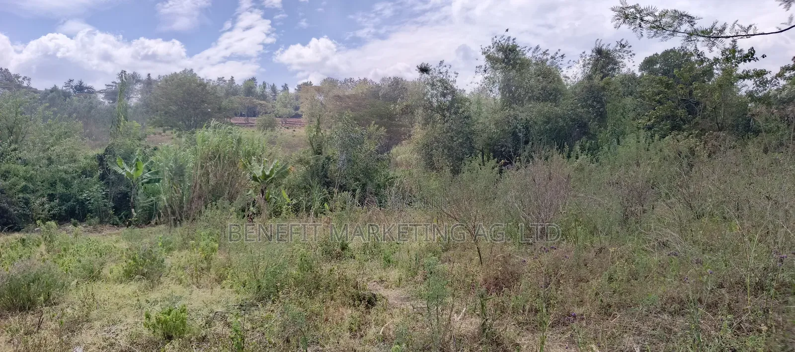 50*100 Plot for Sale in Ngong Ololua in Ongata Rongai