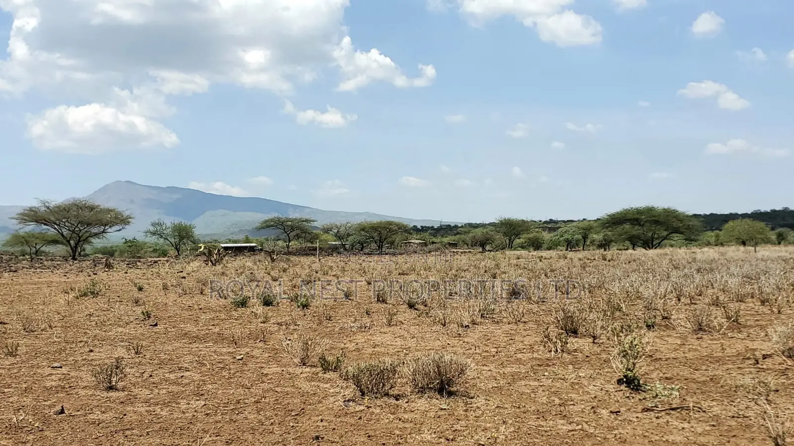 Tinga / Oletepesi Acres Pay With Installment Upto 12 Months in Iloodokilani / Amboseli