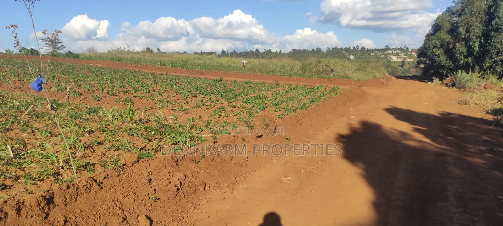 Prime 1/8 Acre In Kikuyu, Thigio (Fronting Tarmac) in Ndeiya