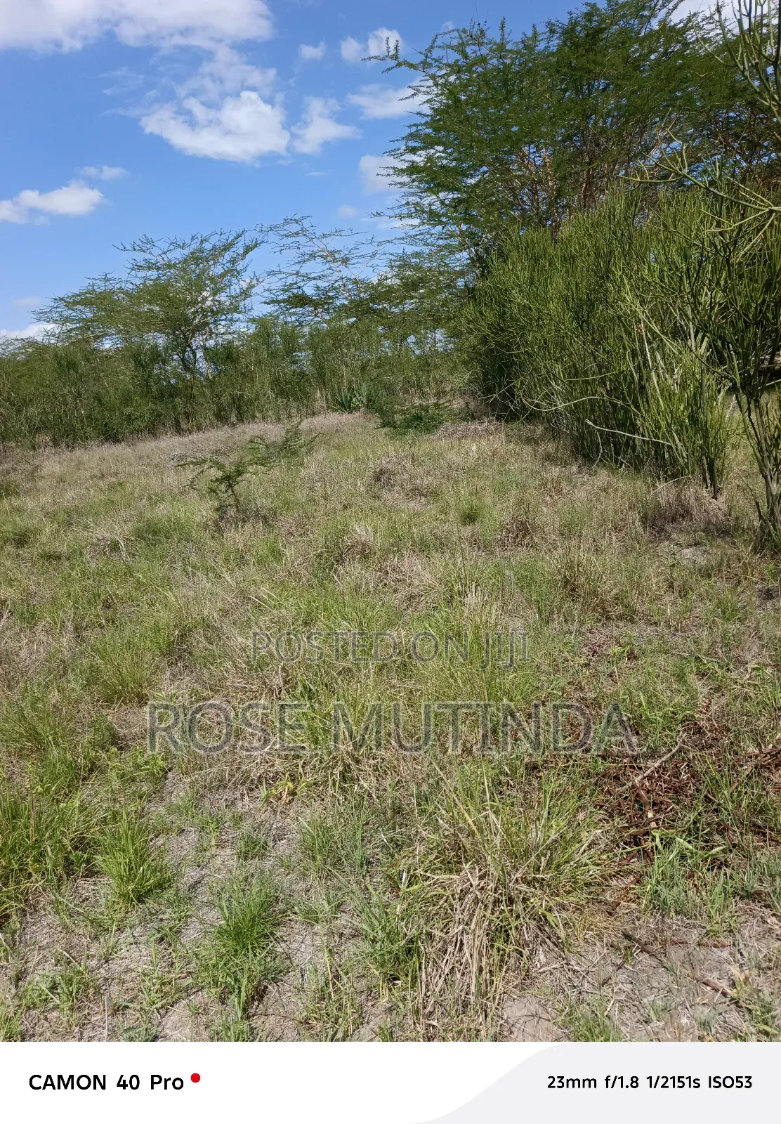 100 by 100 at Kathaana in Nguluni