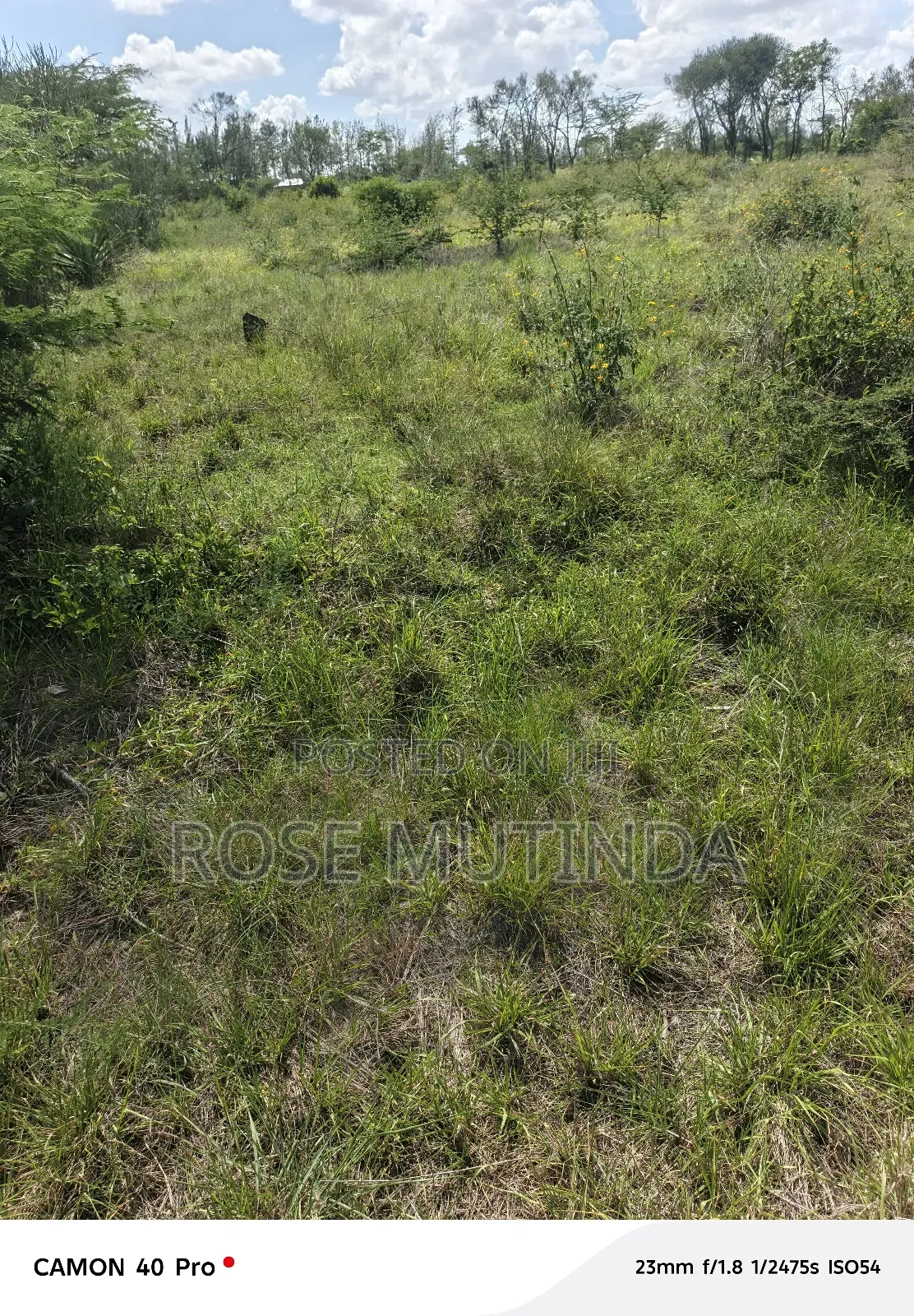 100 by 100 at Kathaana in Nguluni