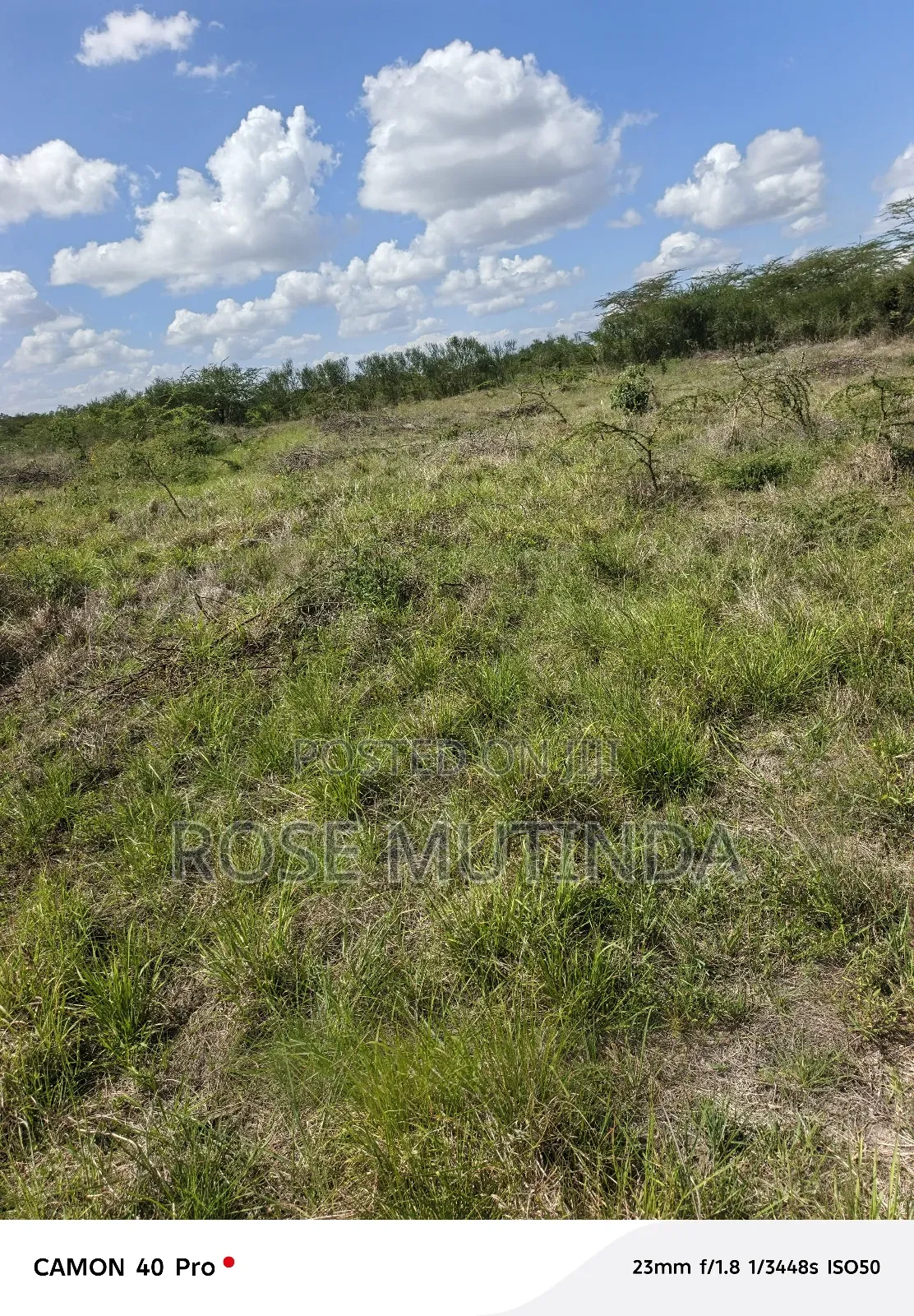 100 by 100 at Kathaana in Nguluni