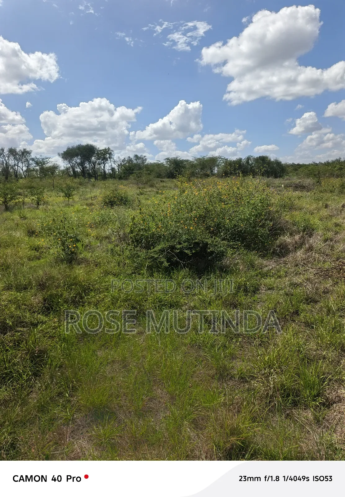 100 by 100 at Kathaana in Nguluni