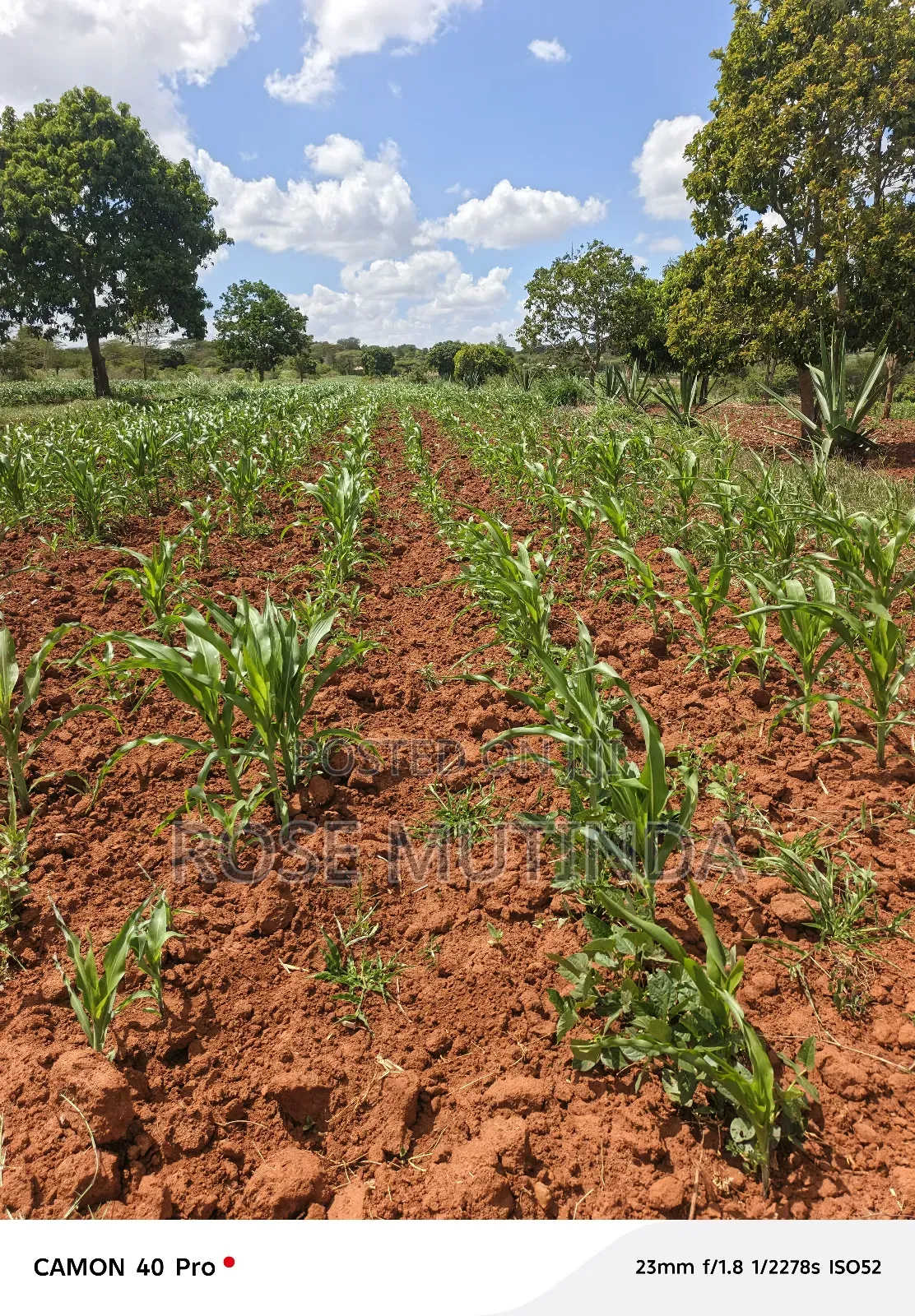 2acres at Kenol Road in Mitaboni