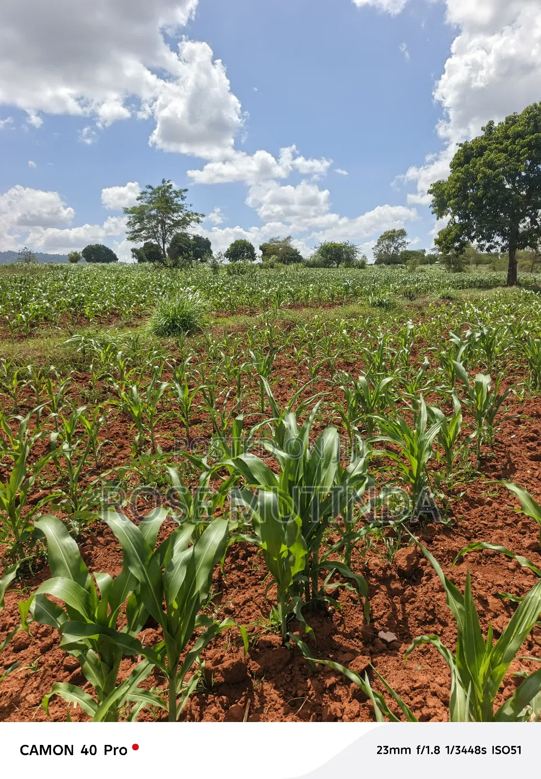 2acres at Kenol Road in Mitaboni