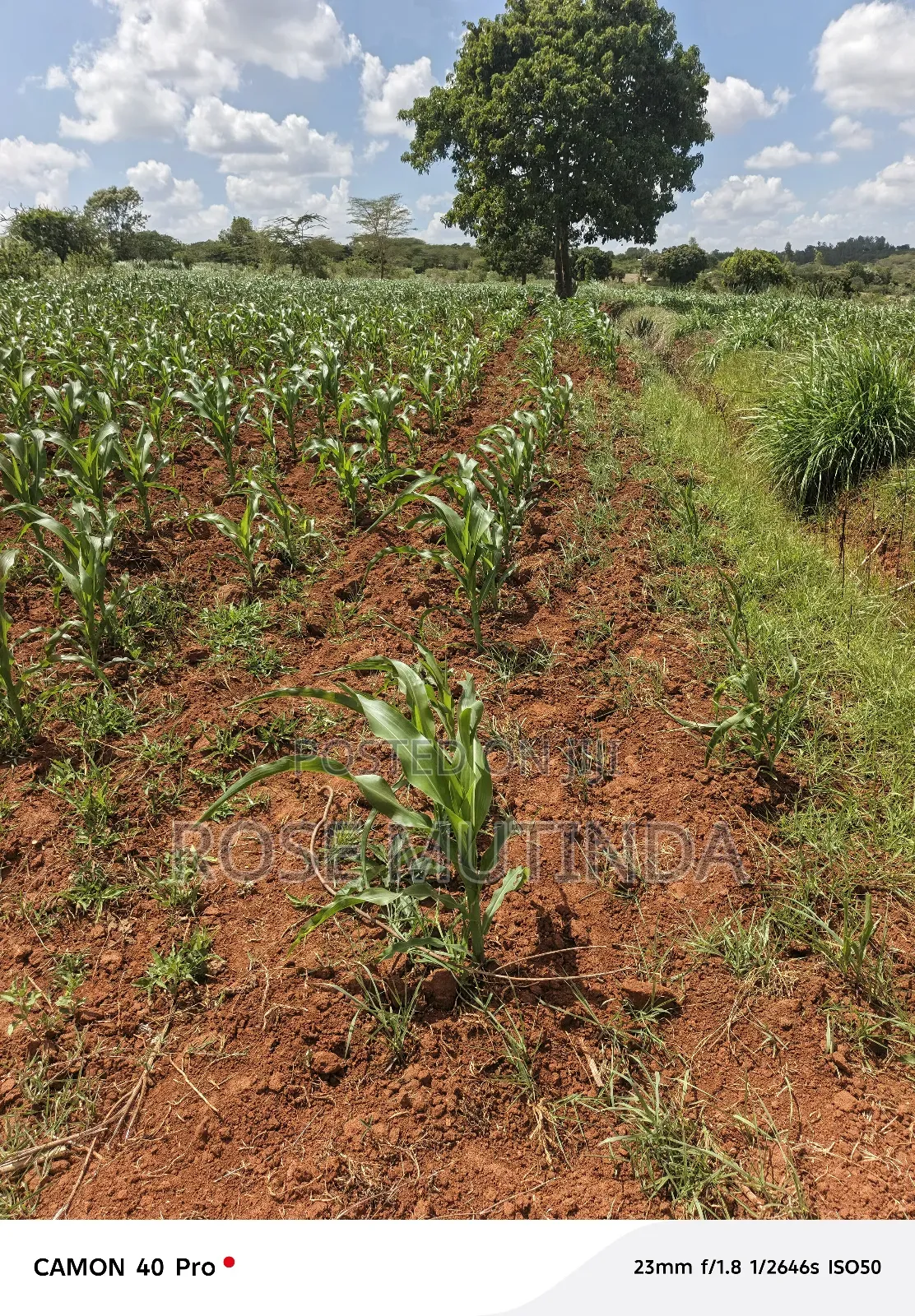 2acres at Kenol Road in Mitaboni