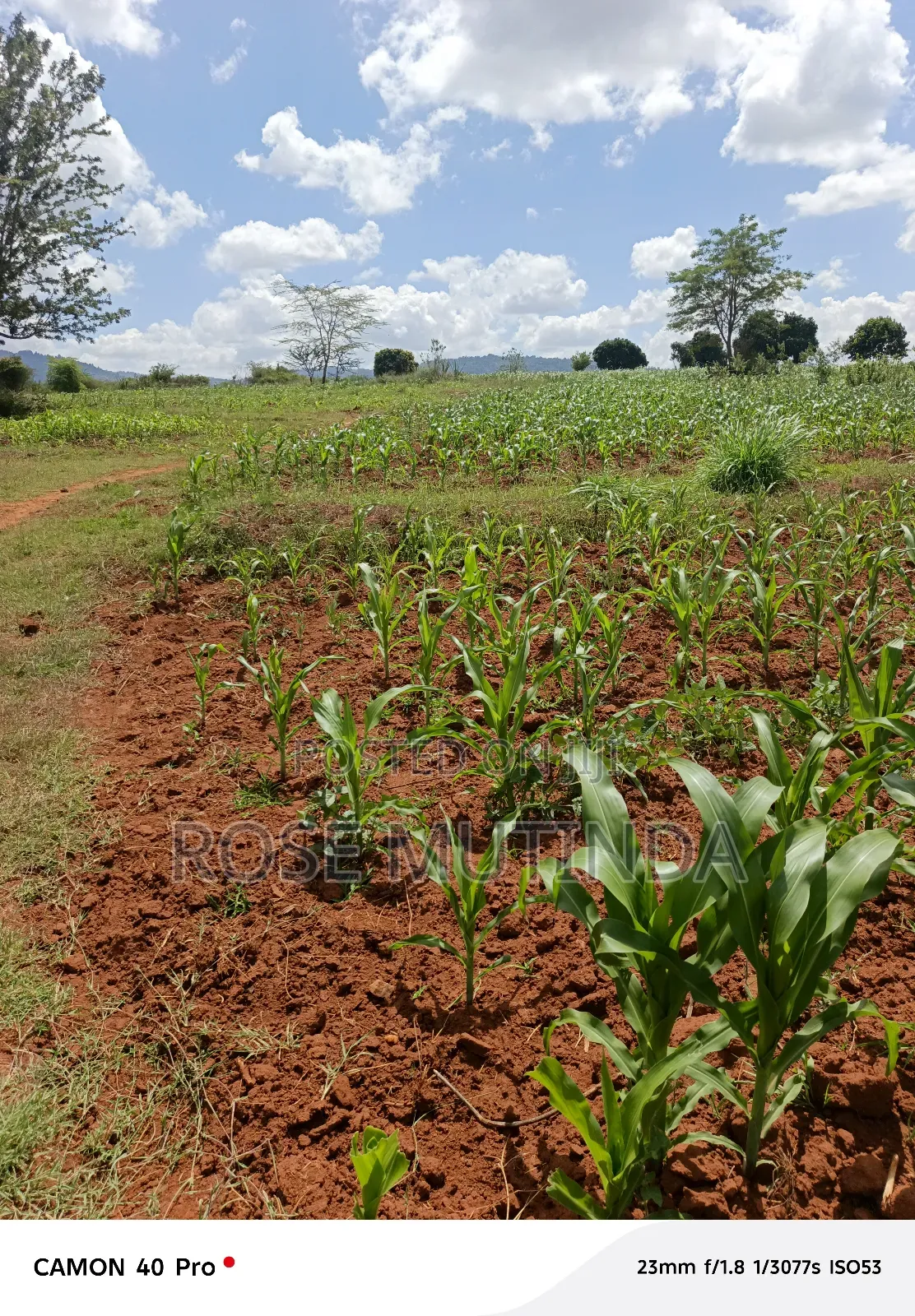 2acres at Kenol Road in Mitaboni