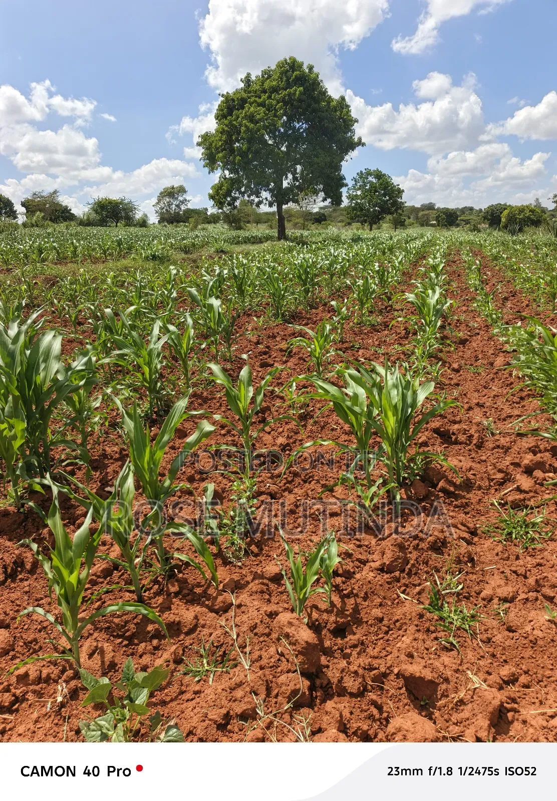 2acres at Kenol Road in Mitaboni