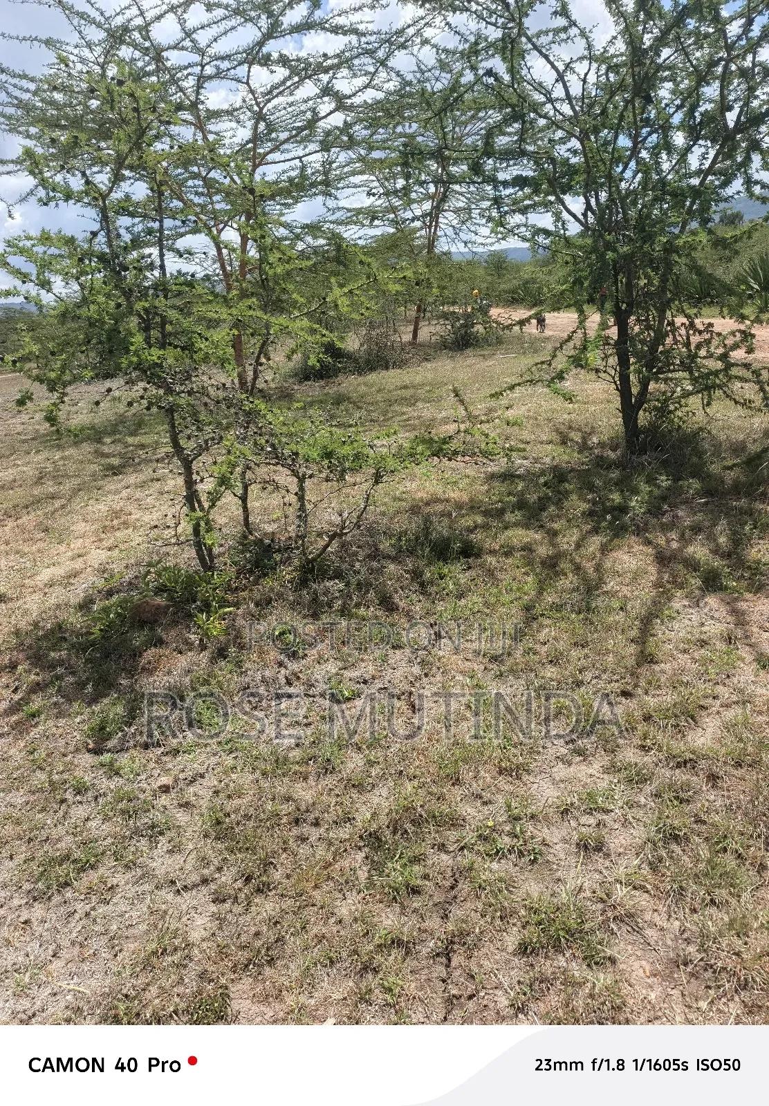 5acrers at Kenol / Kangundo Road in Mitaboni