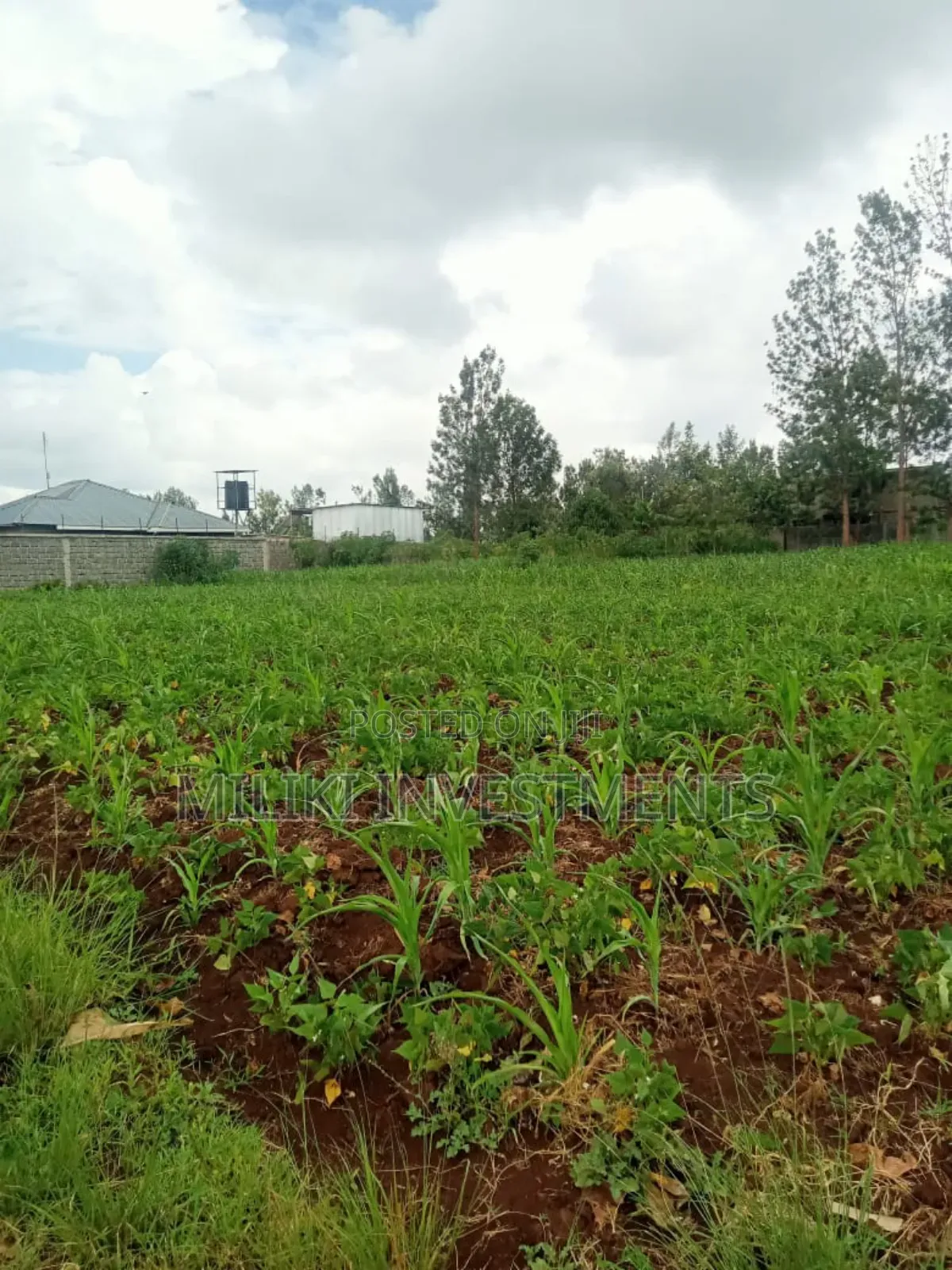 Half an Acre Plot on Sale at Kenol in Kimorori/Wempa