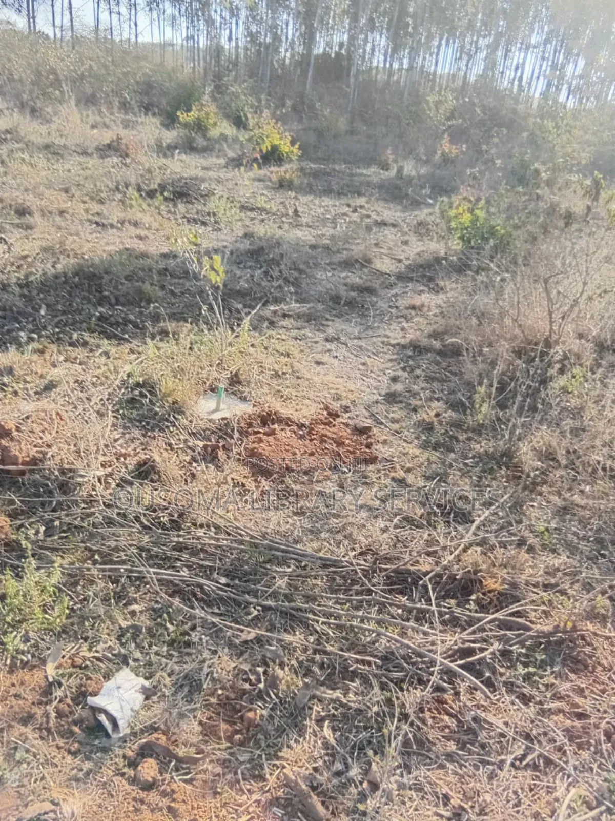 26 Quarter Acre Plots at Ongata Rongai, Tuala - A Goldmine in Ongata Rongai