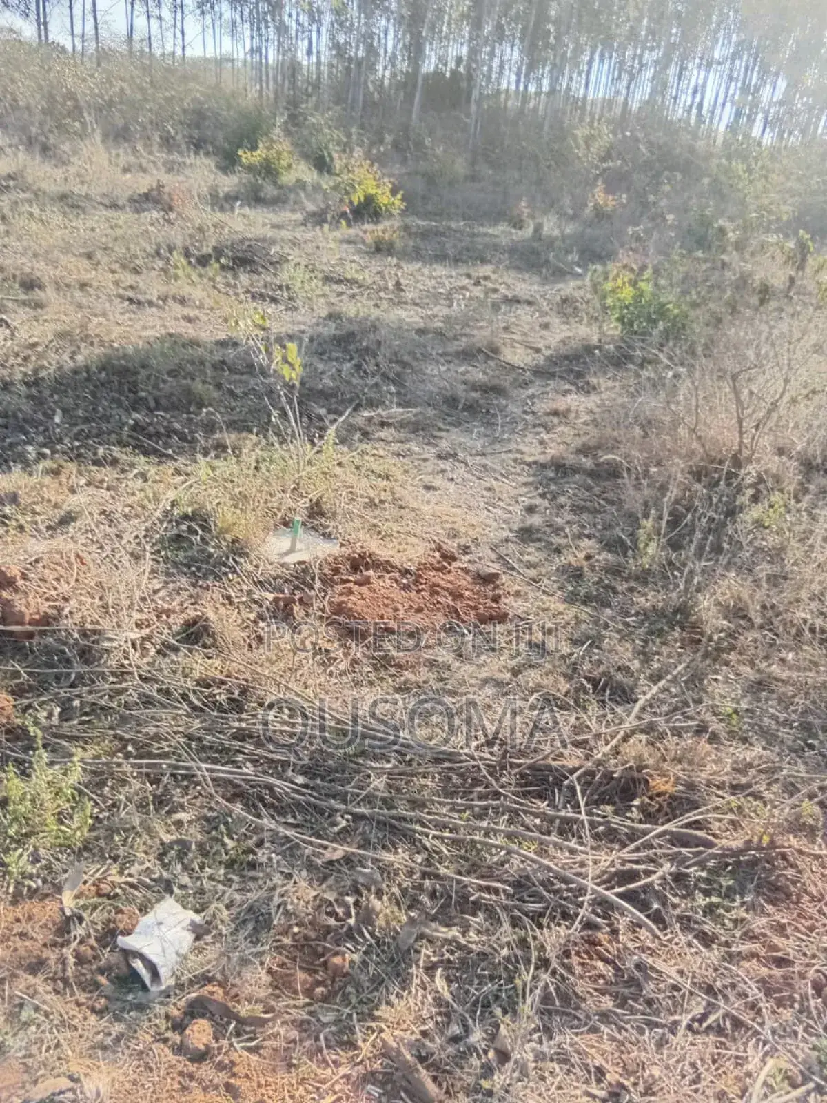26 Quarter Acre Plots at Ongata Rongai, Tuala - A Goldmine in Ongata Rongai