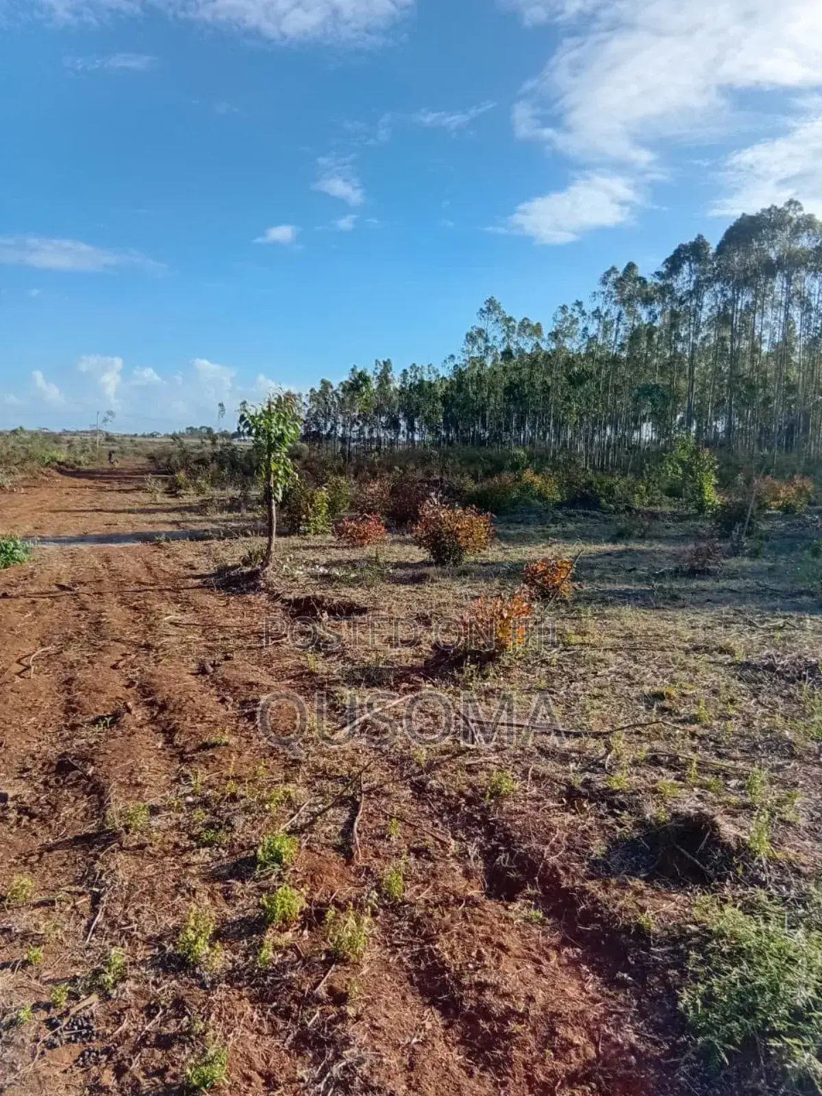 26 Quarter Acre Plots at Ongata Rongai, Tuala - A Goldmine in Ongata Rongai