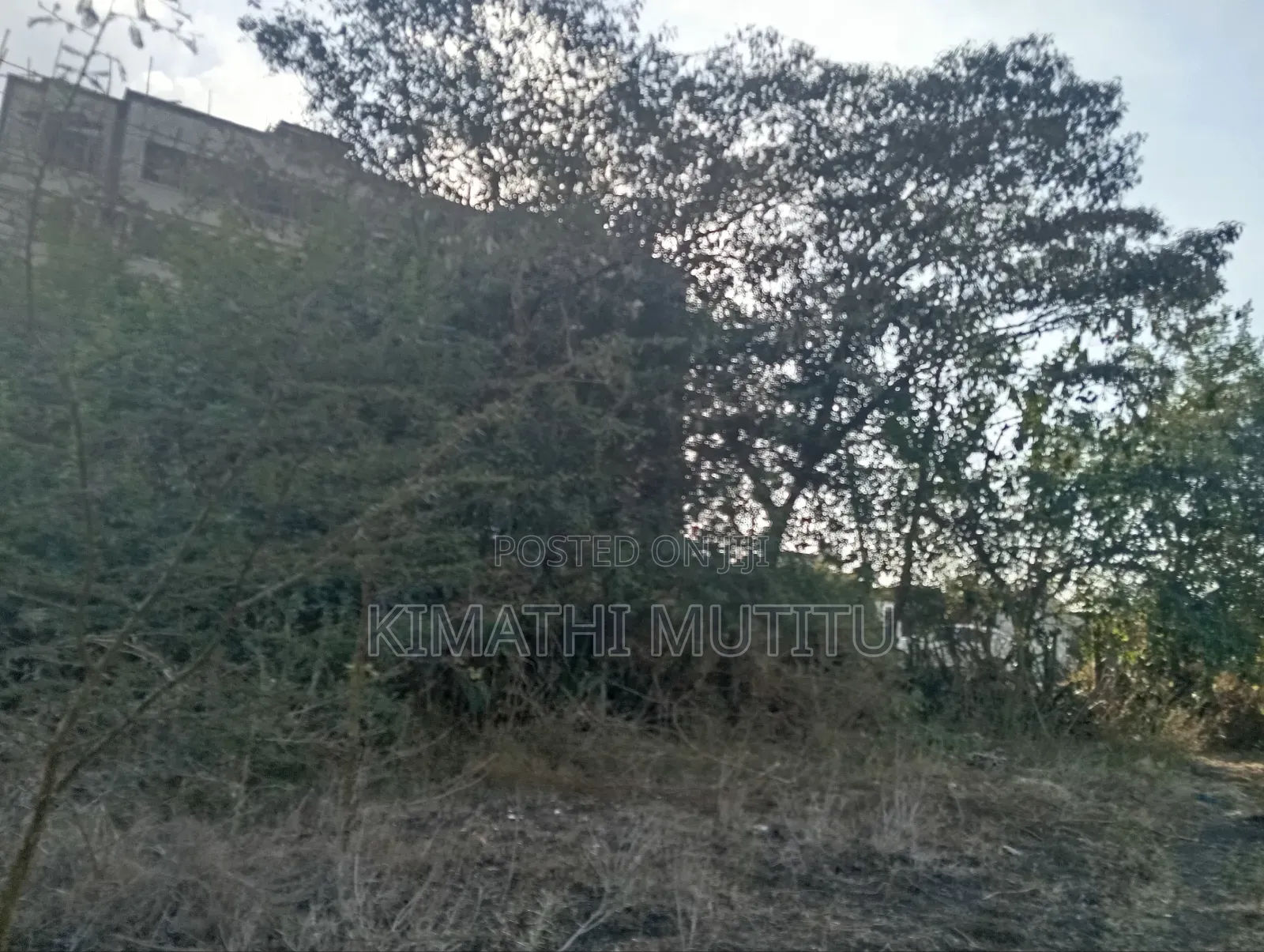 A Very Prime Commercial 50ft by 100ft Near the Tarmac Road. in Ongata Rongai