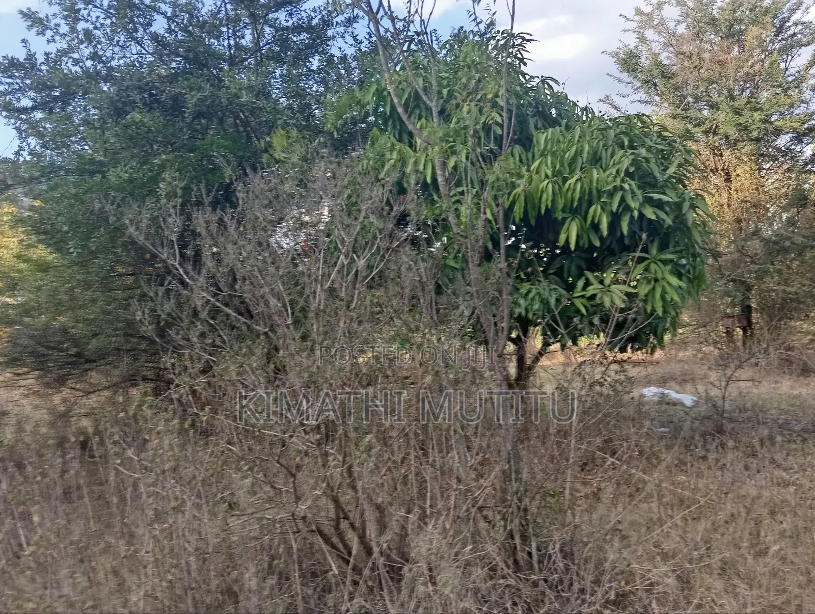 A Very Prime Commercial 1 Acre Touching the Tarmac Road in Ongata Rongai
