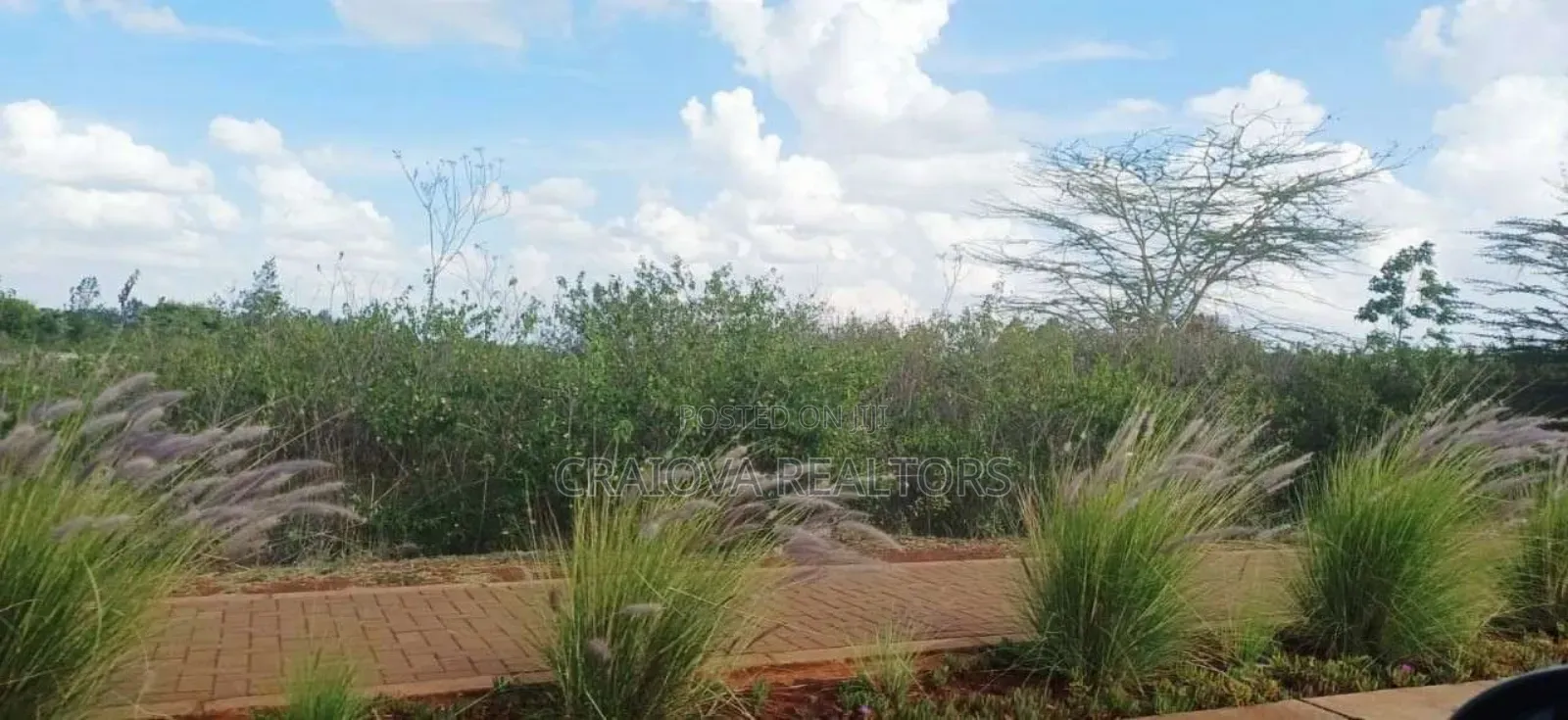 0.5 Acre Plots at Tatu City in Ruiru