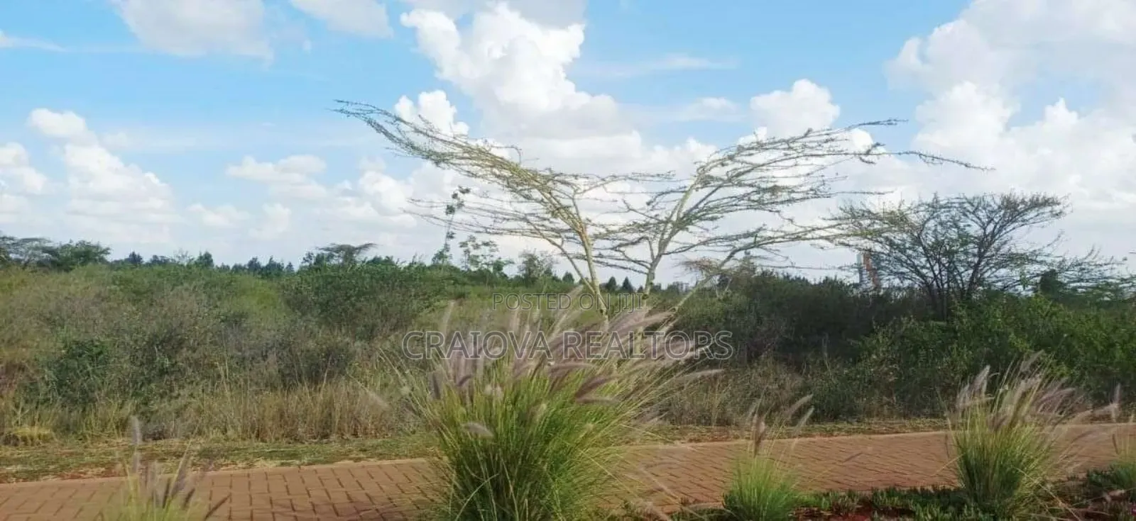 Kijani Plots at Tatu City in Ruiru
