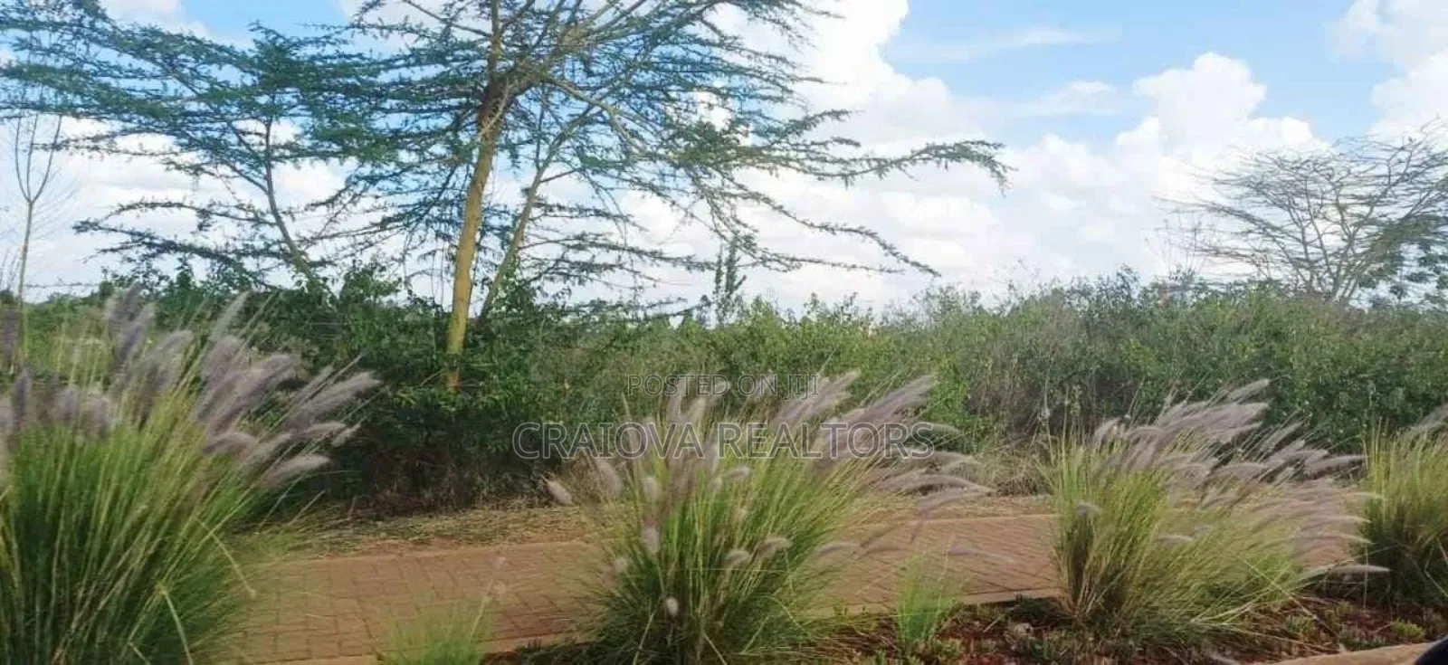 Kijani Plots at Tatu City in Ruiru