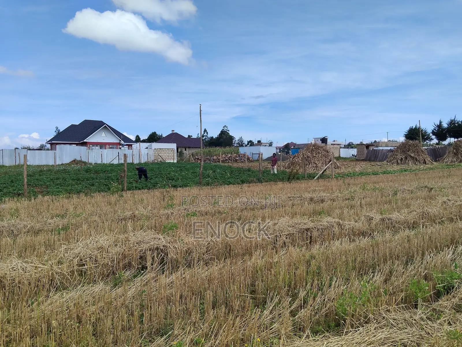 Eldoret Chemaluk Chepkanga Plots in Kimumu