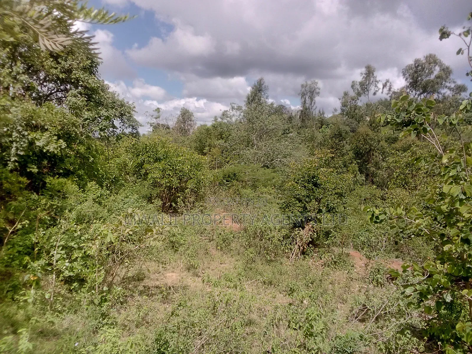 2 Acres Farm , Tungutu in Kyangwithya West