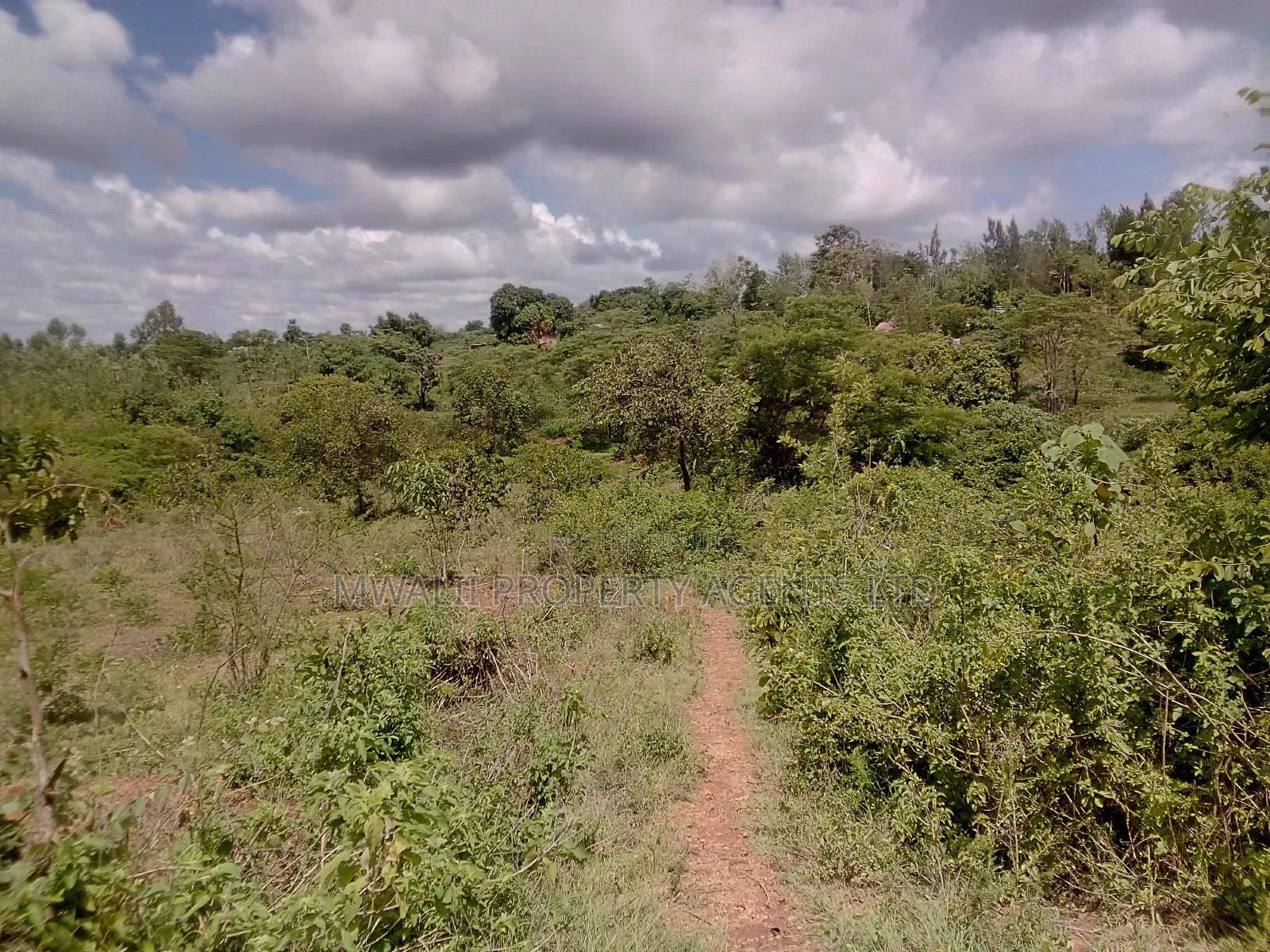 2 Acres Farm , Tungutu in Kyangwithya West