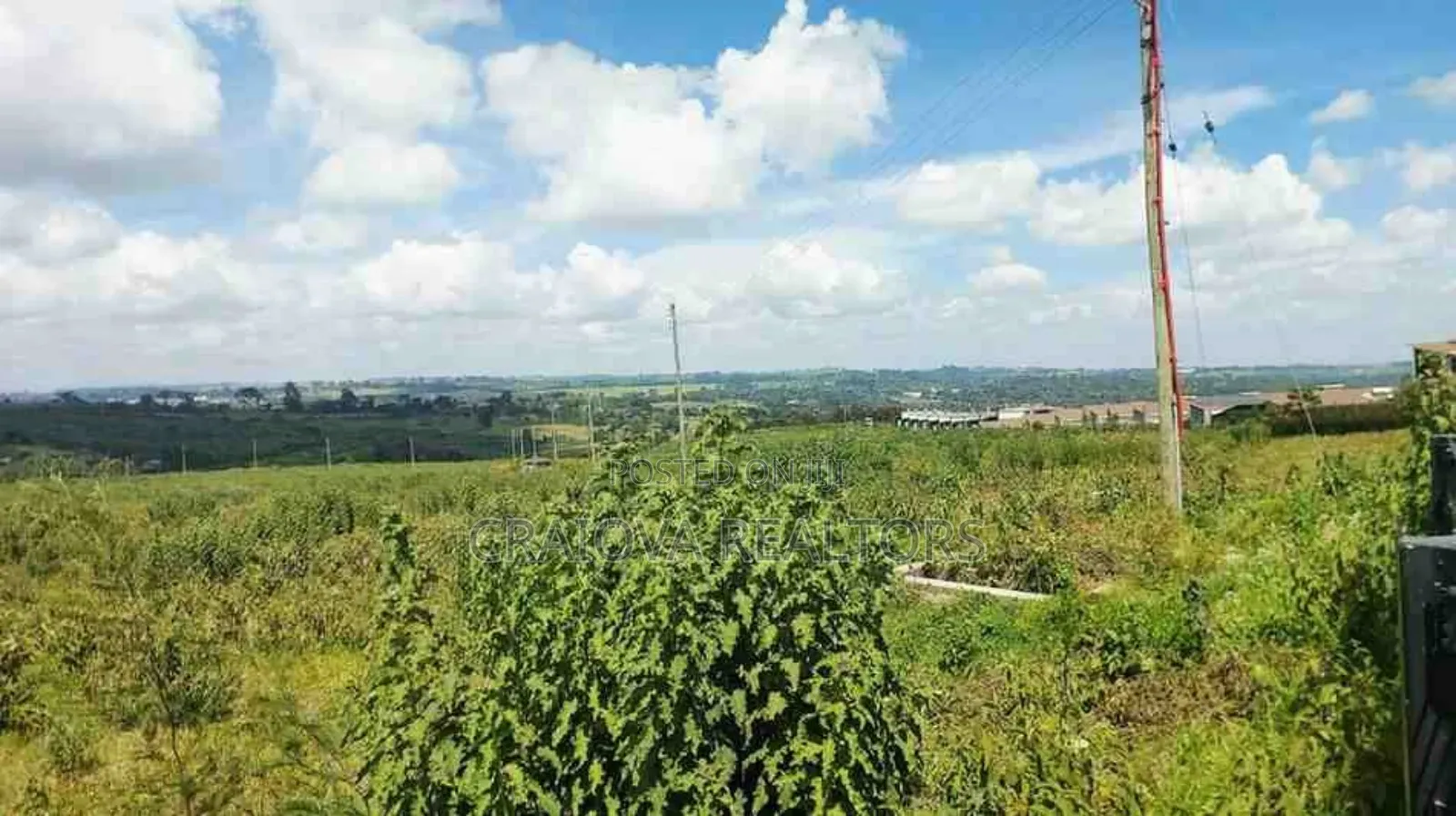 0.5 Acre Pieces of Land at Tilisi in Kiambu / Kiambu