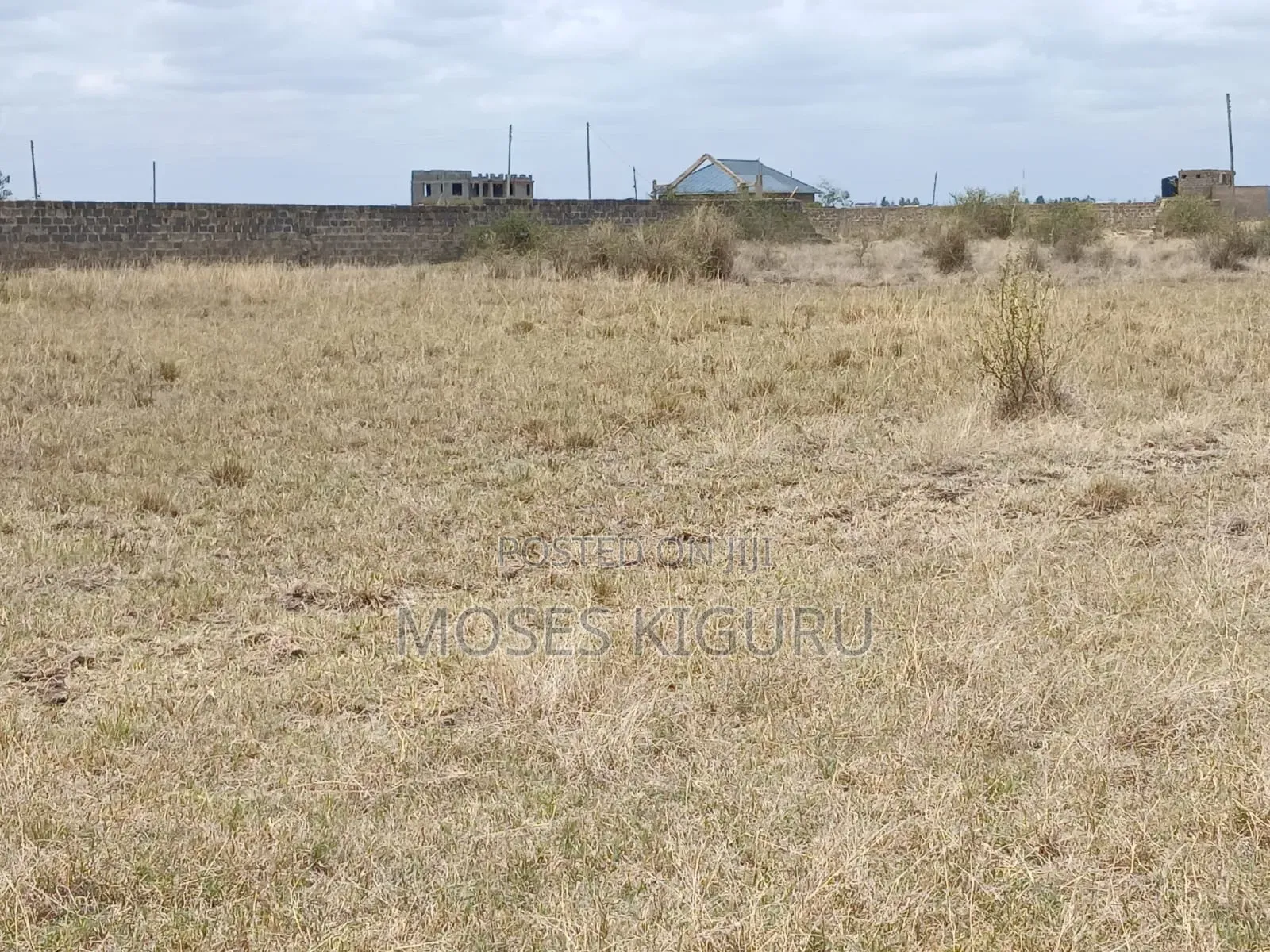 Jujafarm Road 50x100 Plots in Juja
