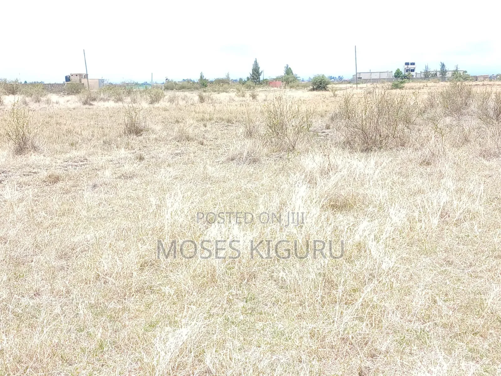Jujafarm Road 50x100 Plots in Juja